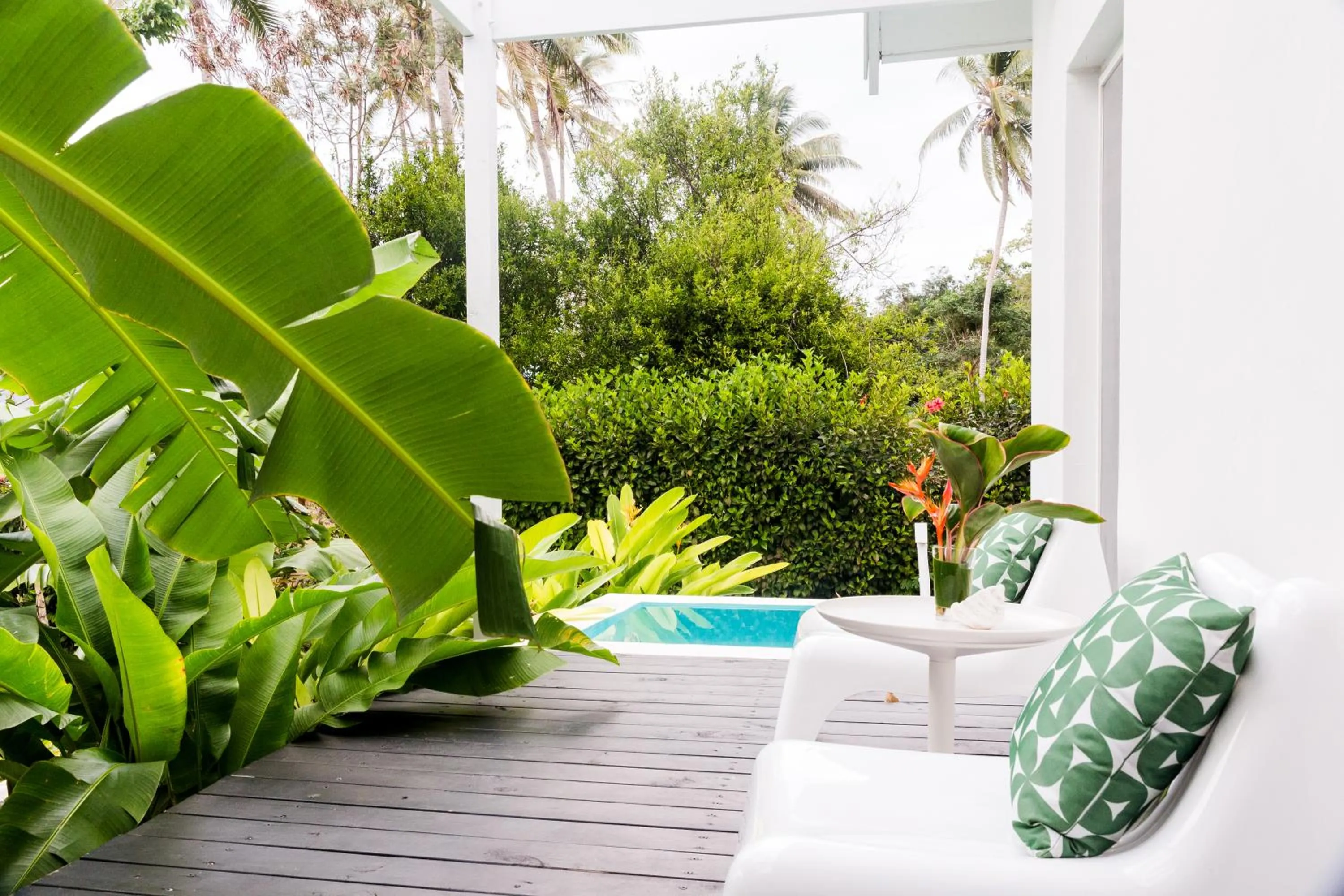 Swimming pool in The Moso