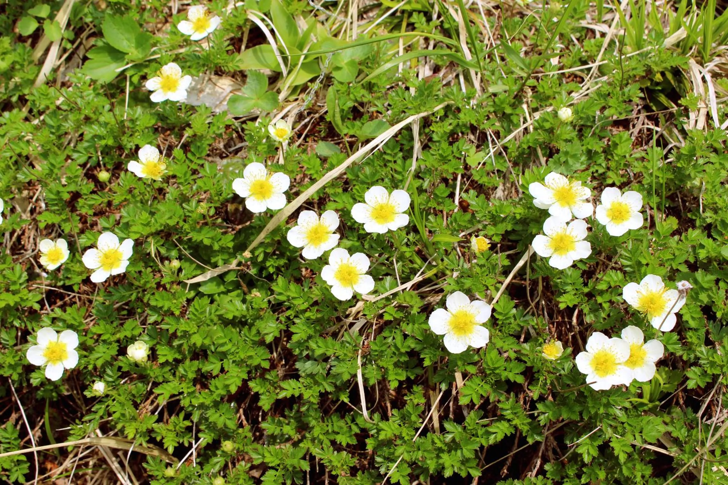 Natural landscape in Hachimantai Mountain Hotel & Spa