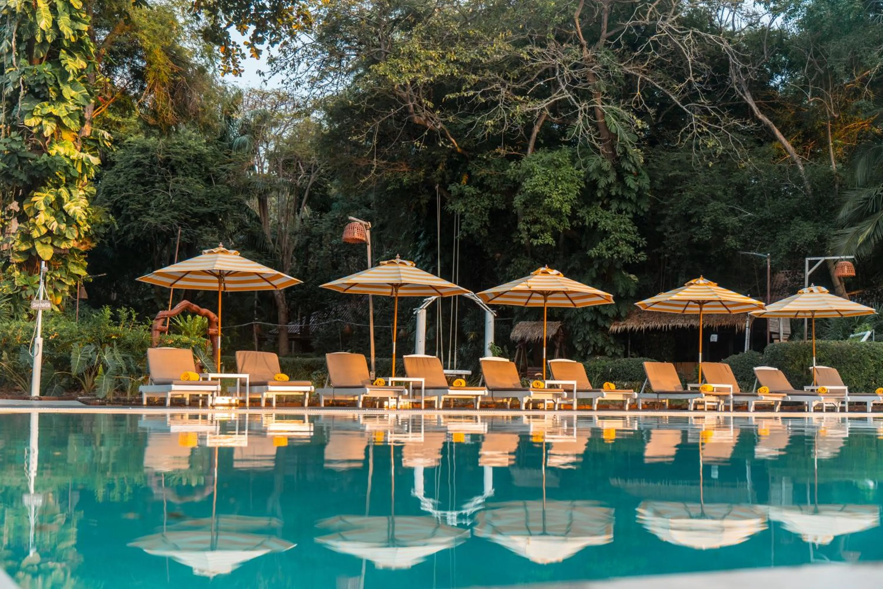 Day in Birds and Bees Resort