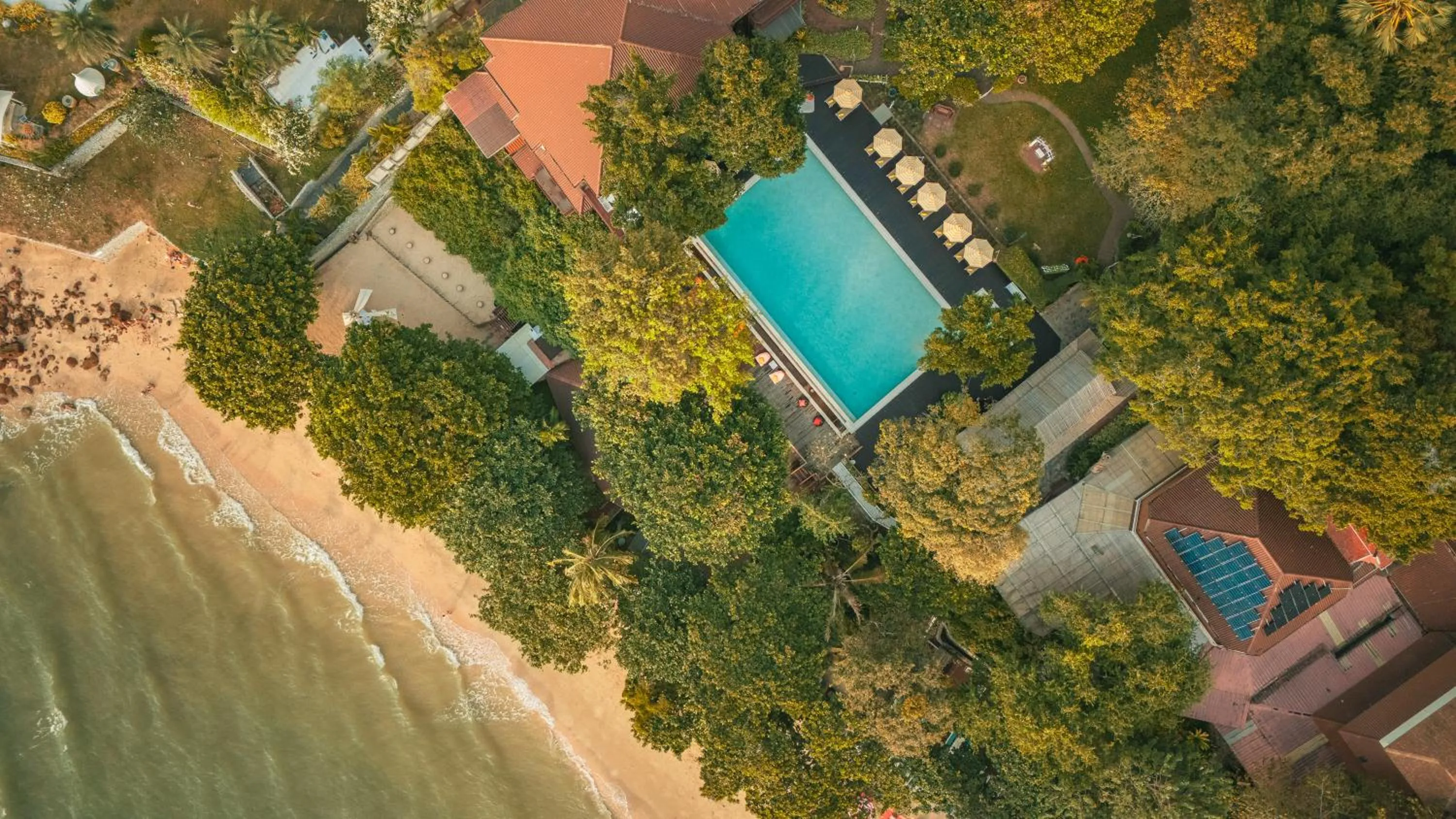 Swimming pool in Birds and Bees Resort