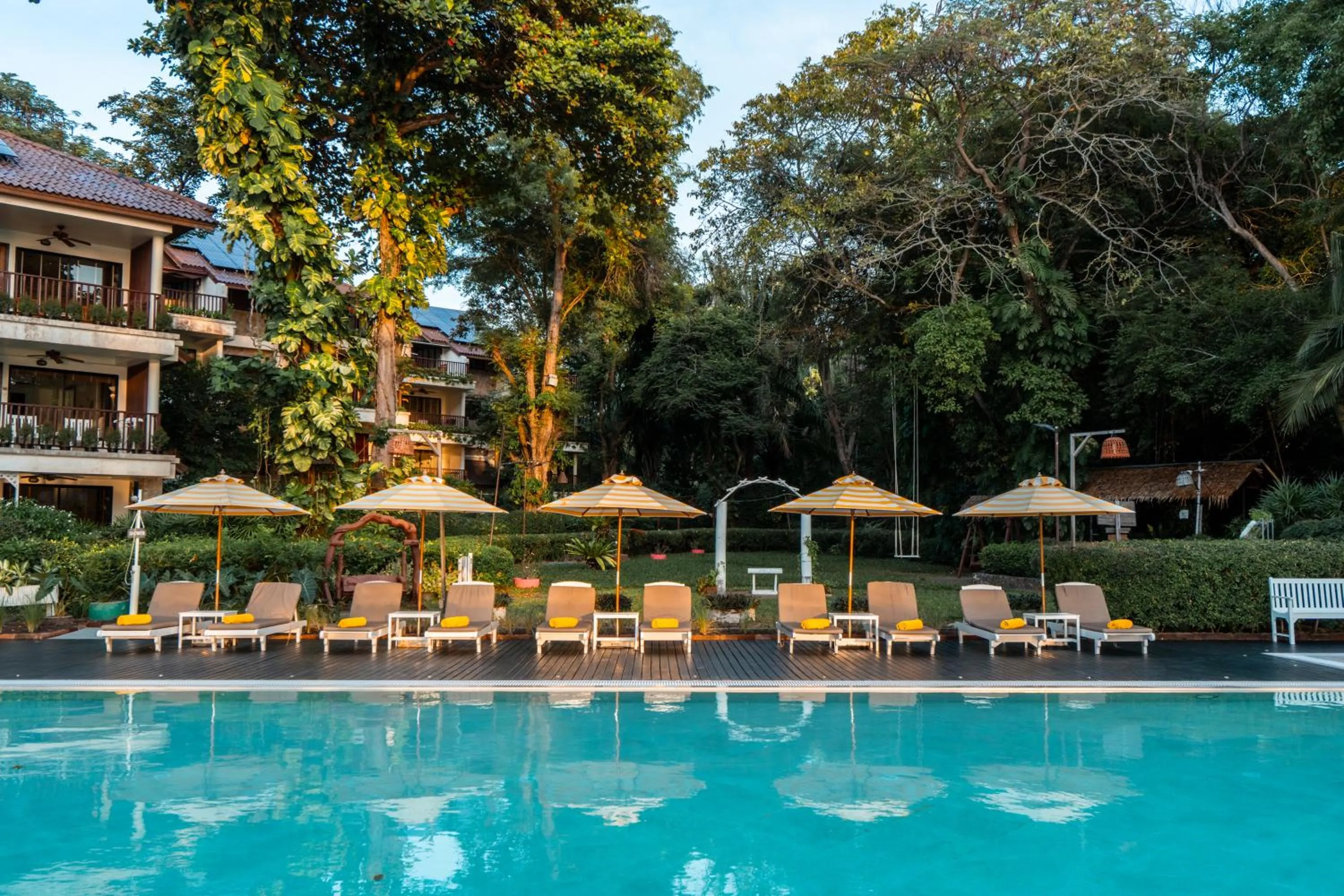 Swimming pool in Birds and Bees Resort