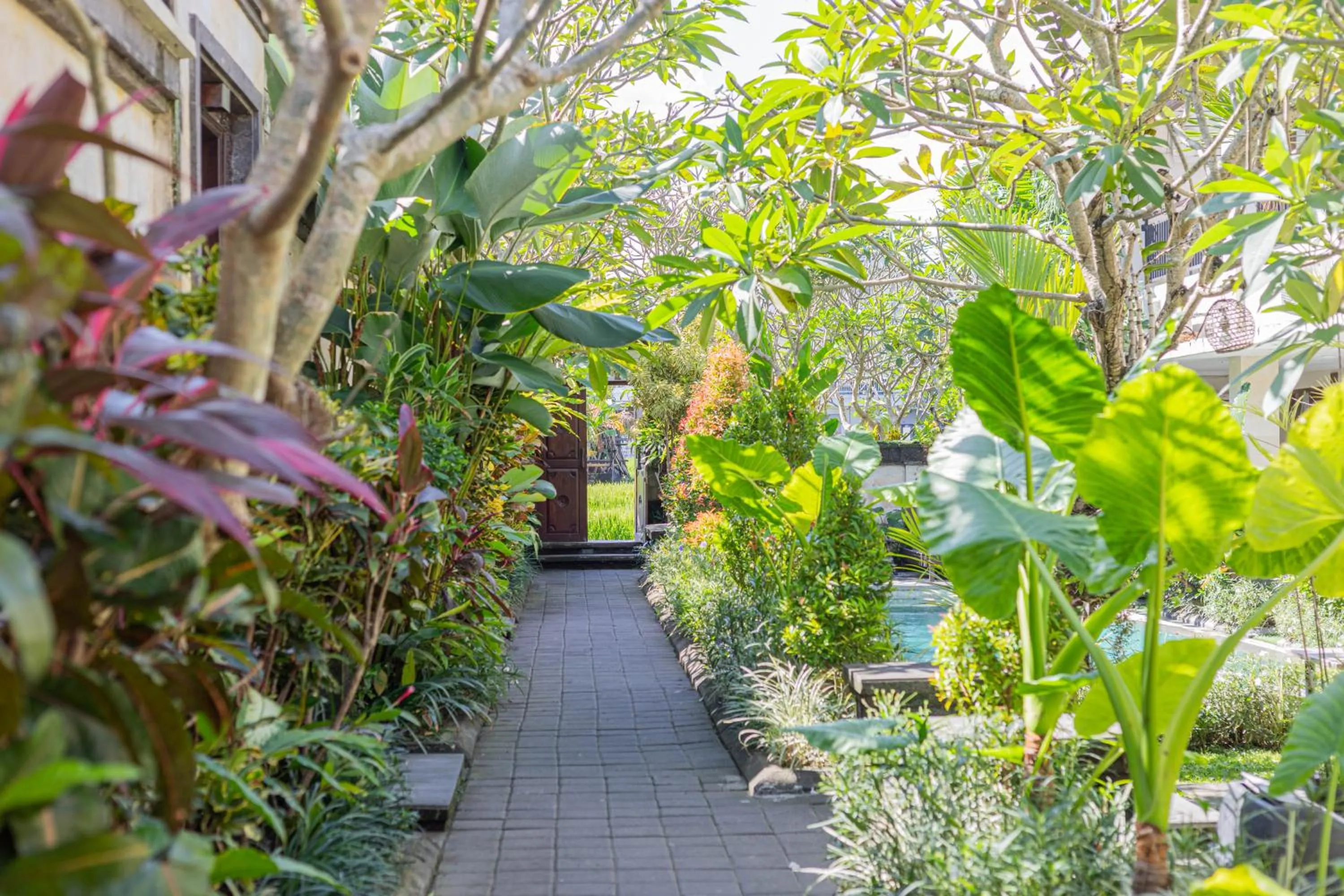 Property building in Puri Canggu Villas & Rooms