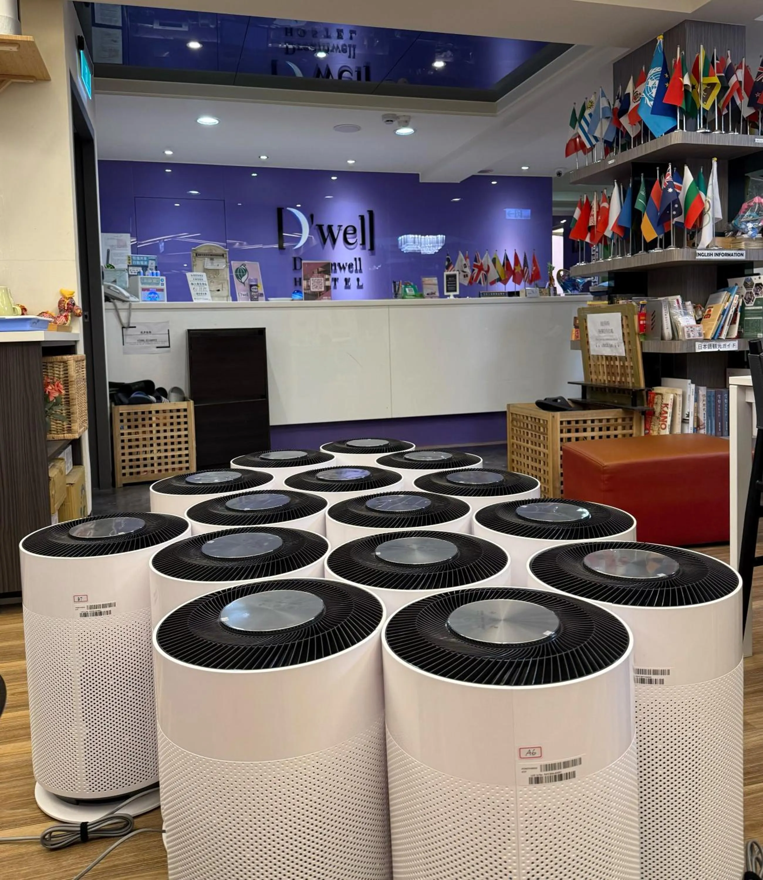 旅悅 國際青年旅館 DreamWell Hostel