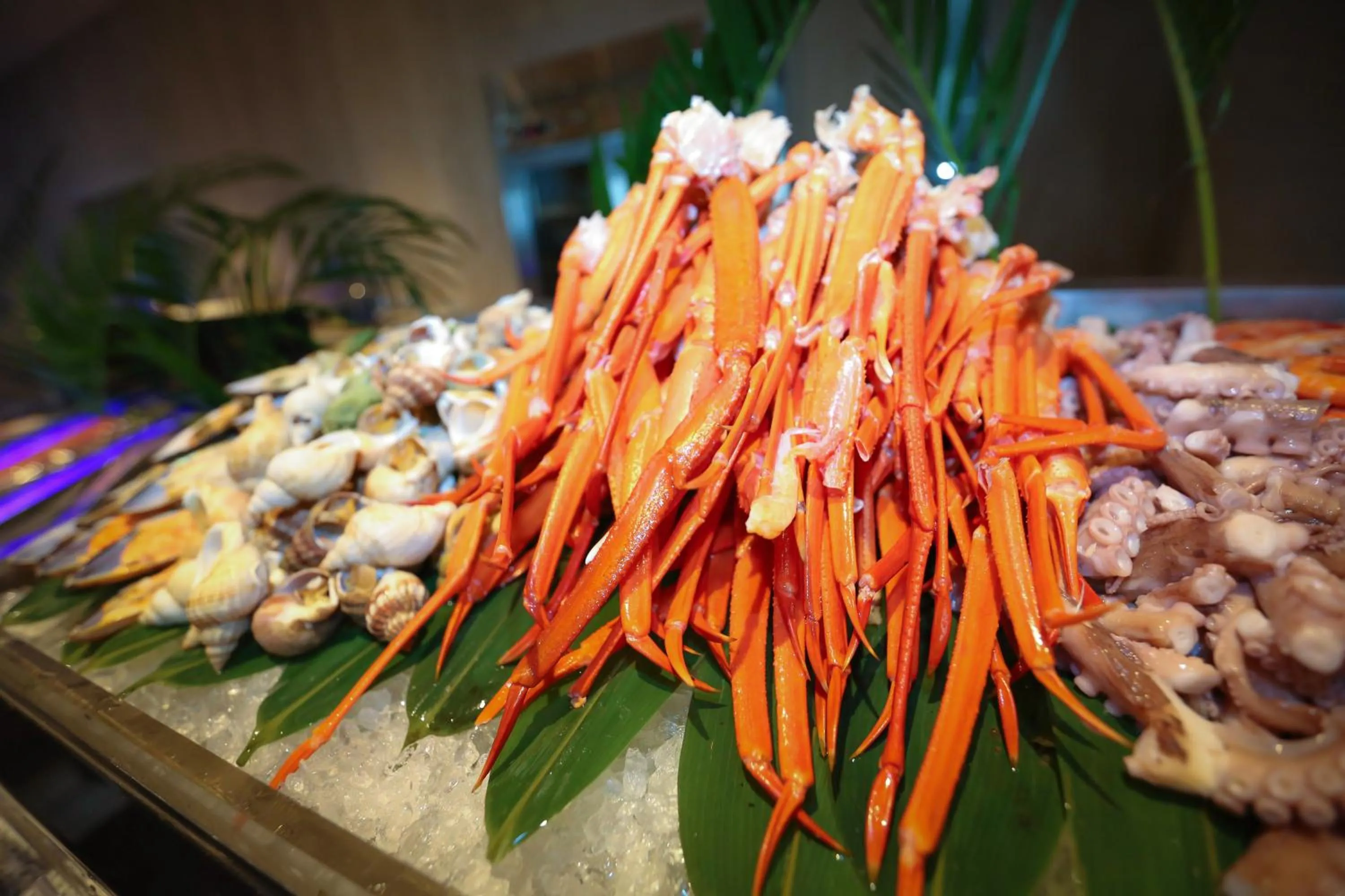 Dinner in Qingdao Mangrove Tree Resort World - Red Coral Hotel