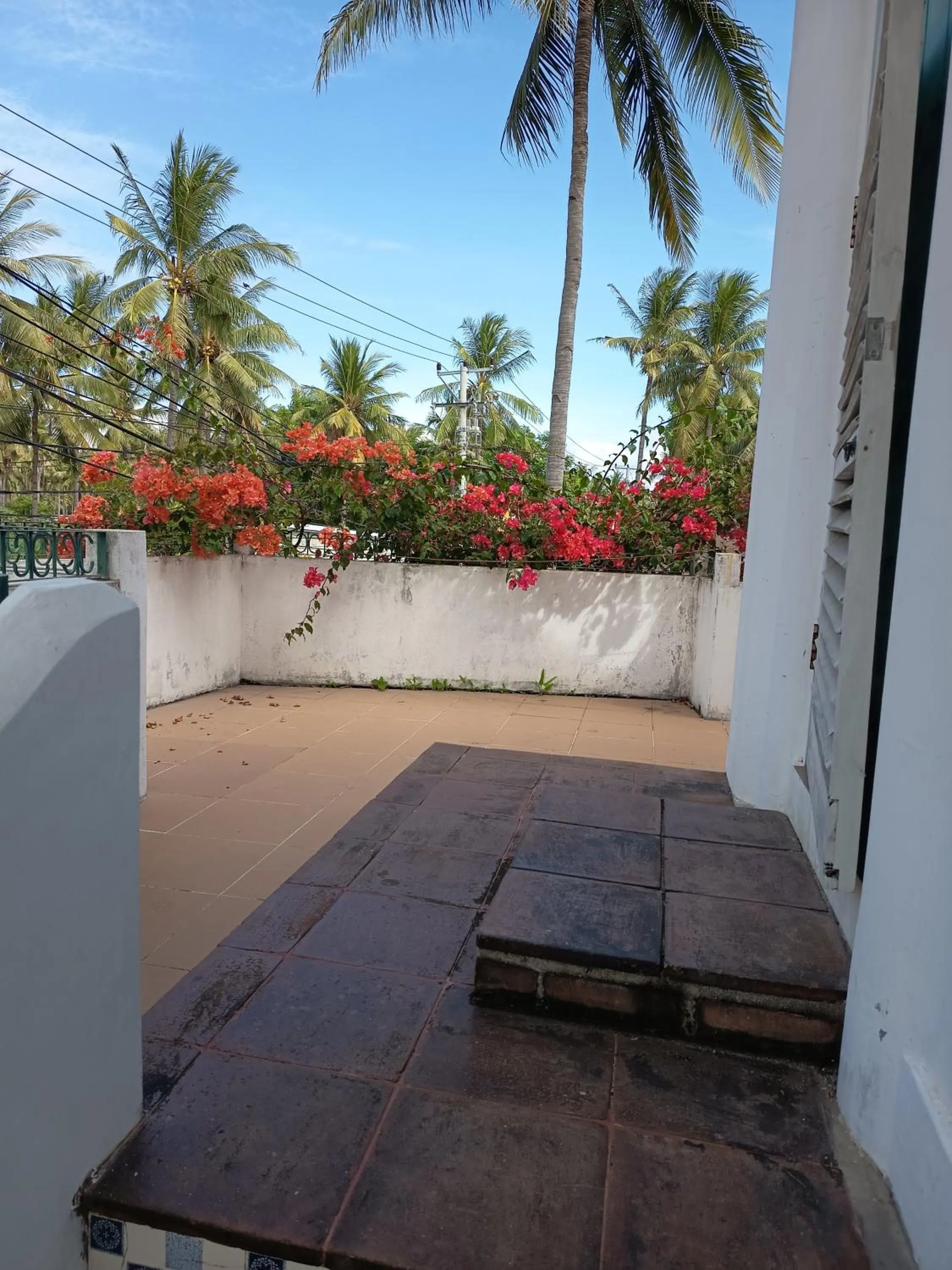 View (from property/room) in White Coconut Resort