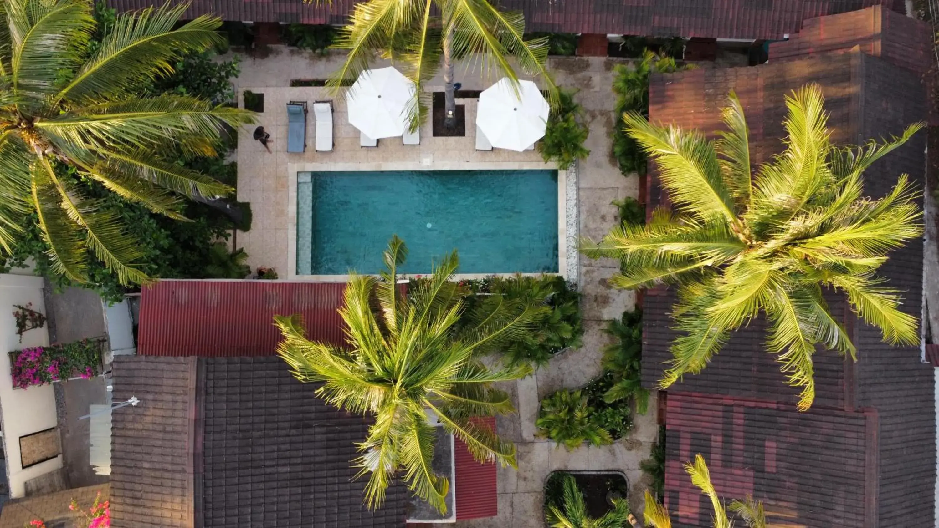 White Coconut Resort White Coconut Resort