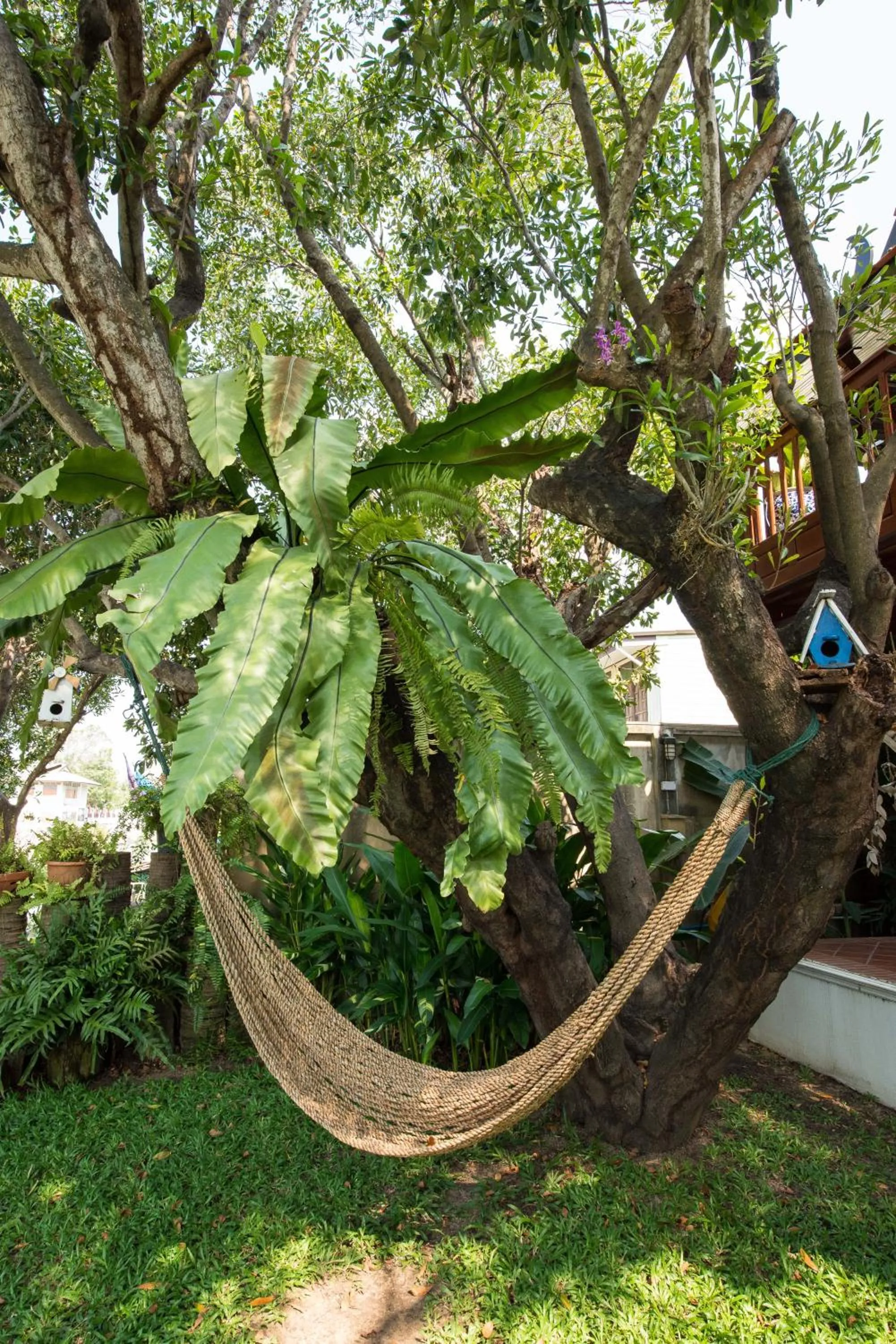 Garden in Phuttal Residence