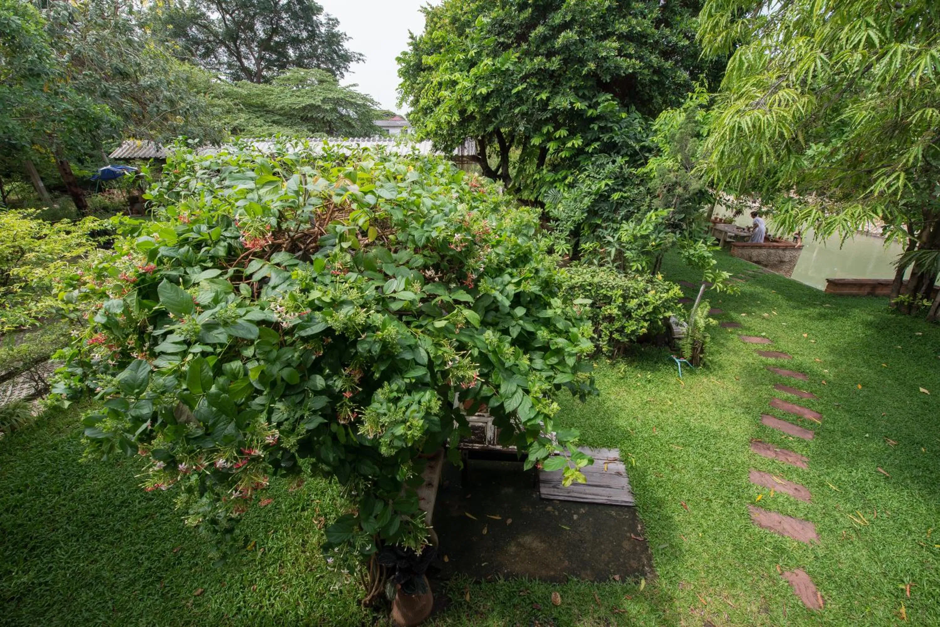 Garden view in Phuttal Residence