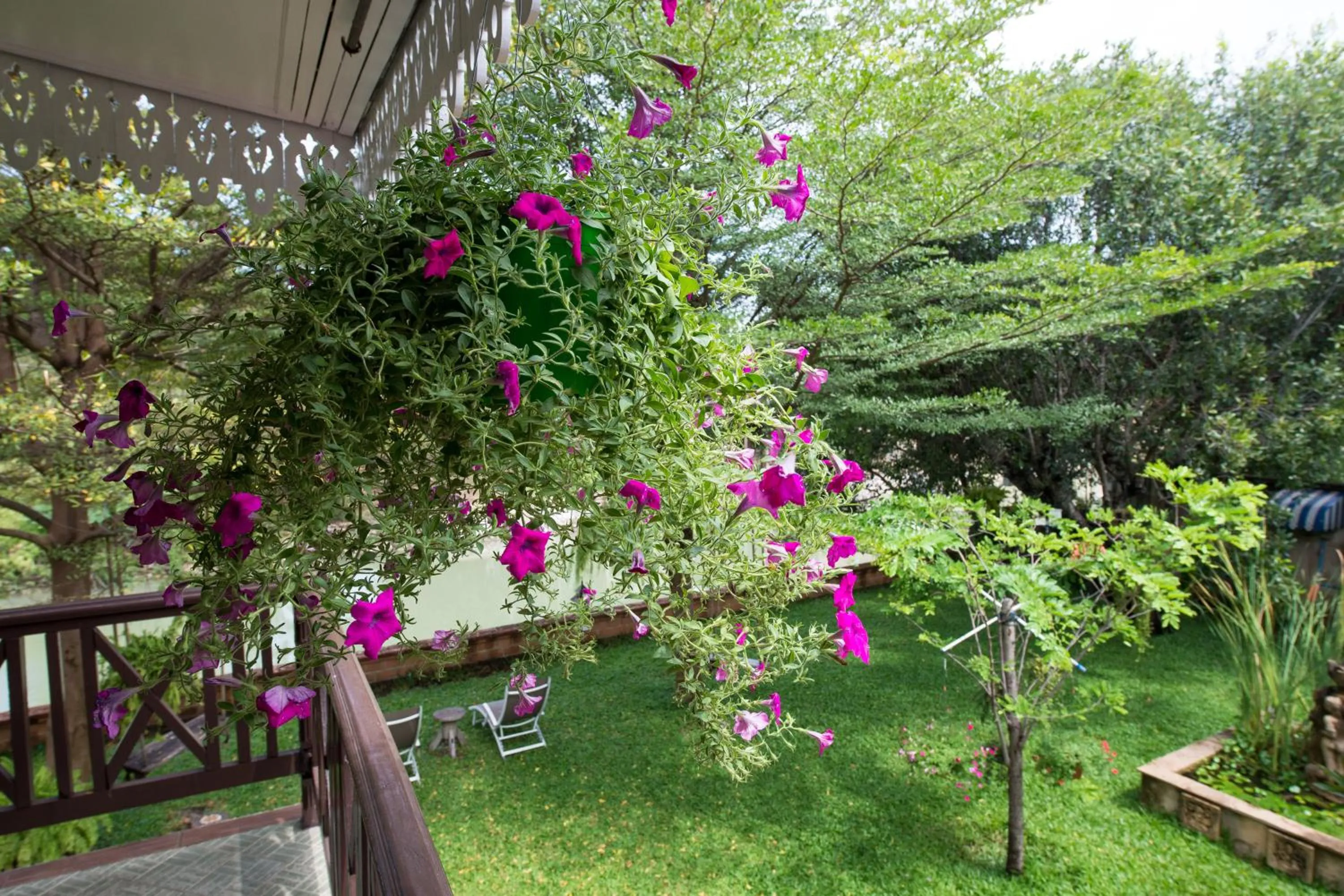 Garden view in Phuttal Residence