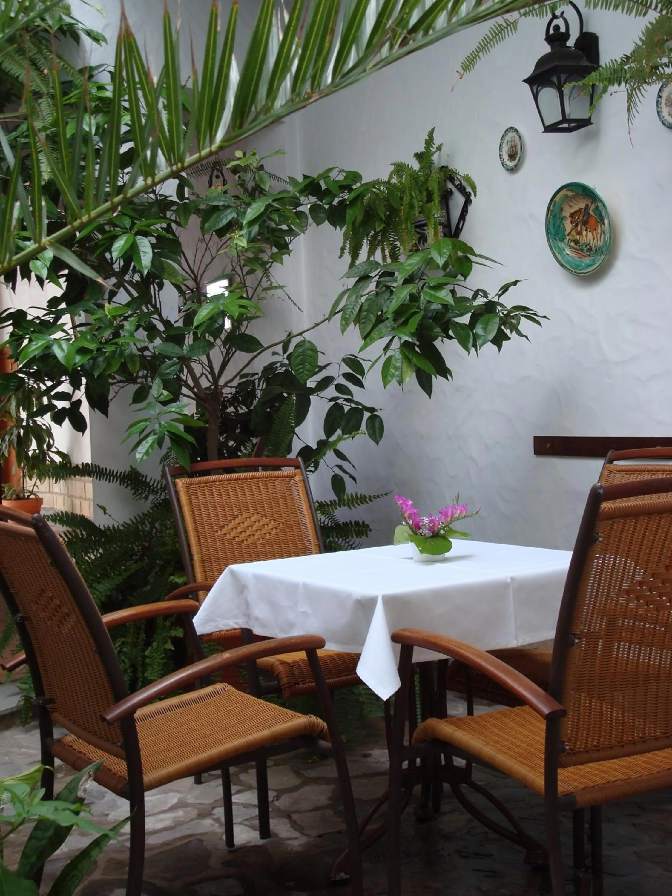 Spring in Almadraba Conil