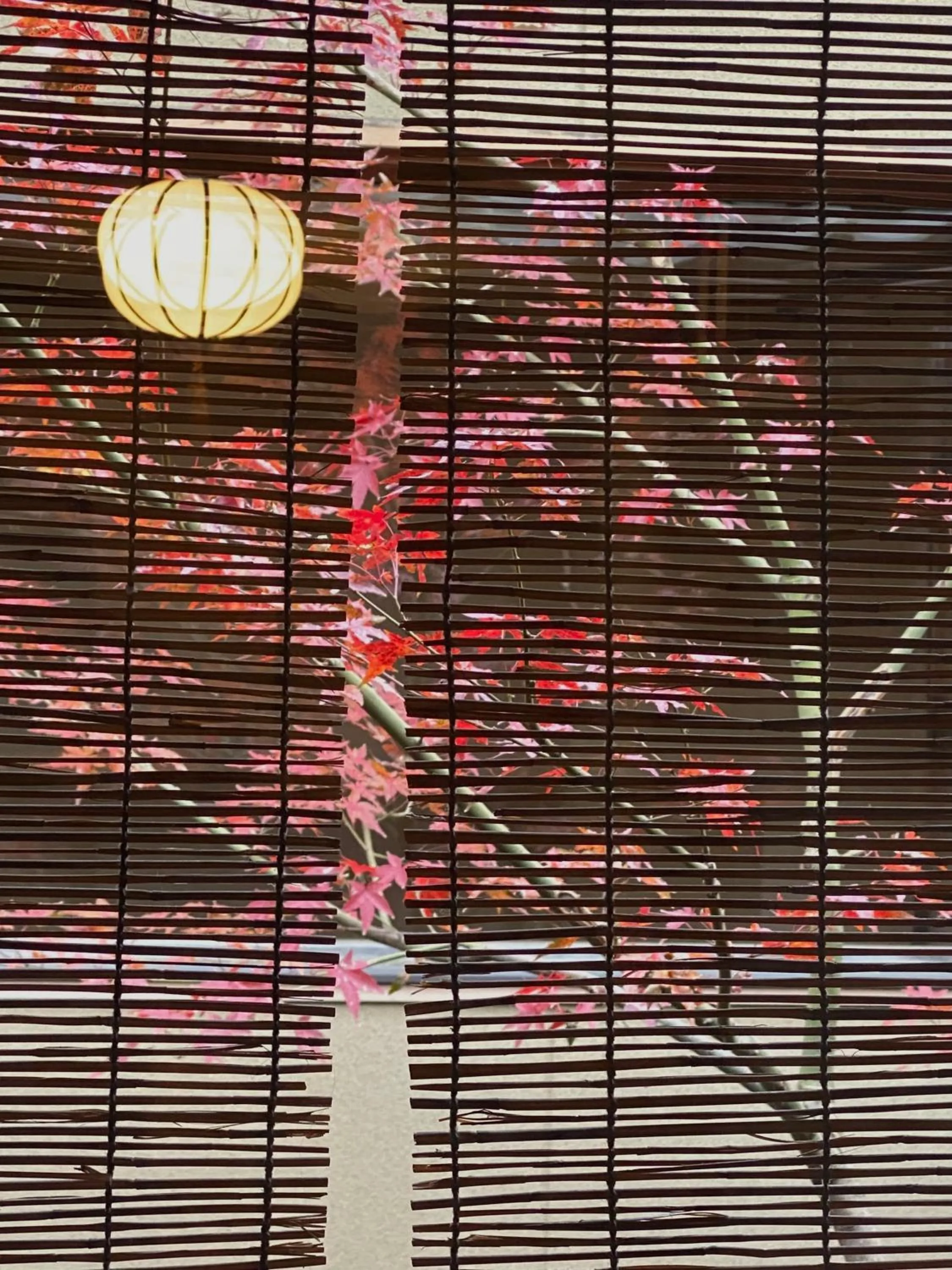 Garden view in Ryokan Tori