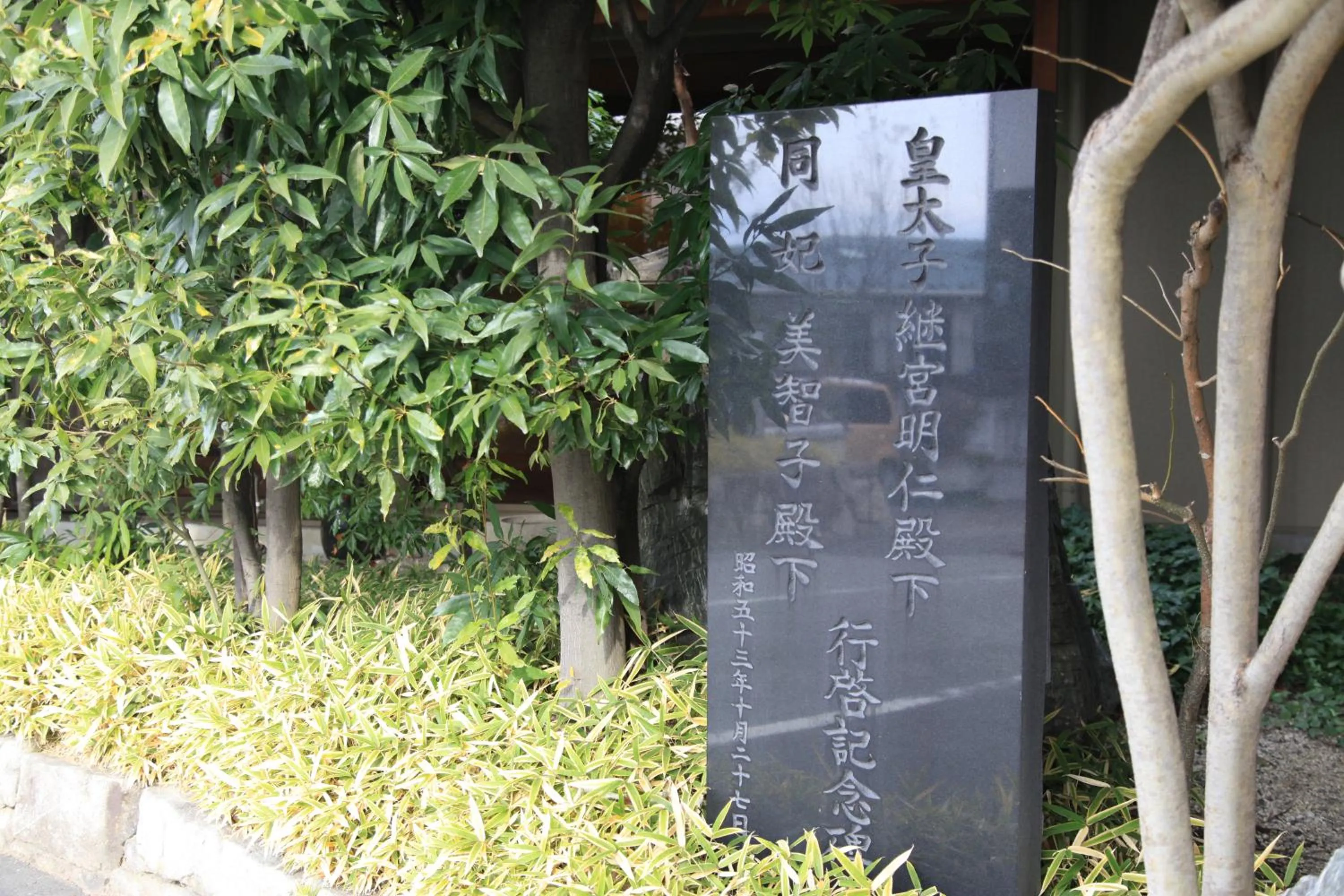 Garden in Hotel New Kotobuki