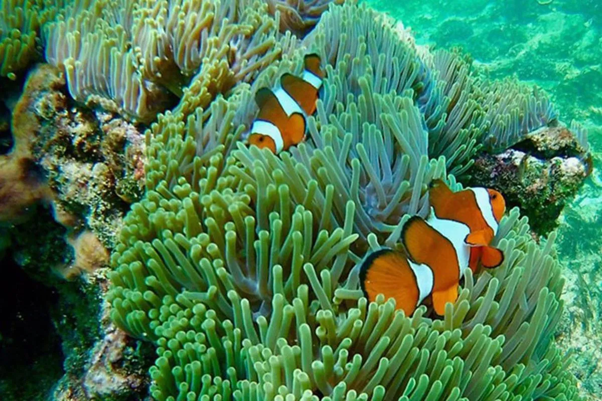 Nearby landmark in Krabi Grand Hotel