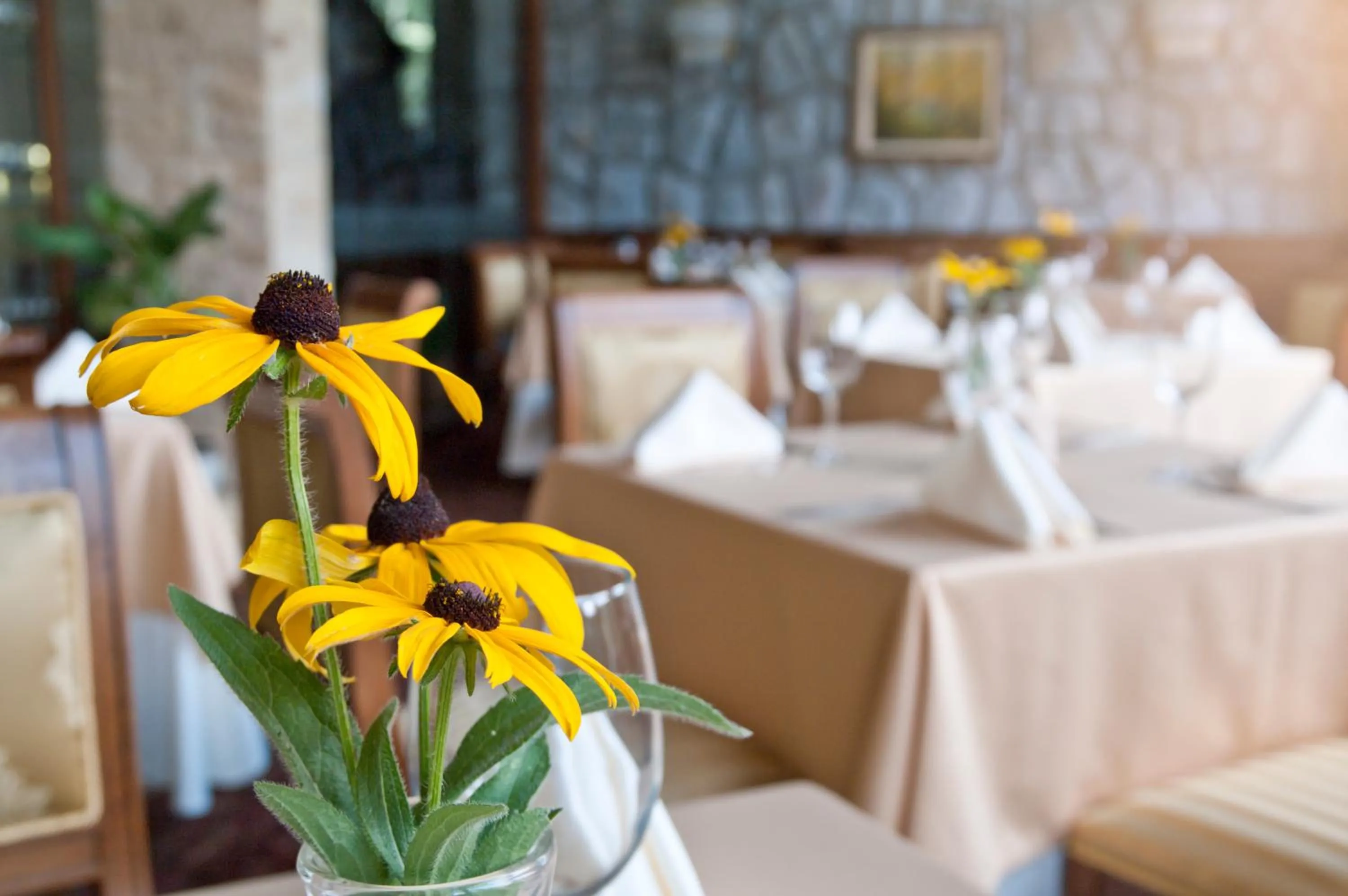 Restaurant/places to eat in Hotel Edelweiss