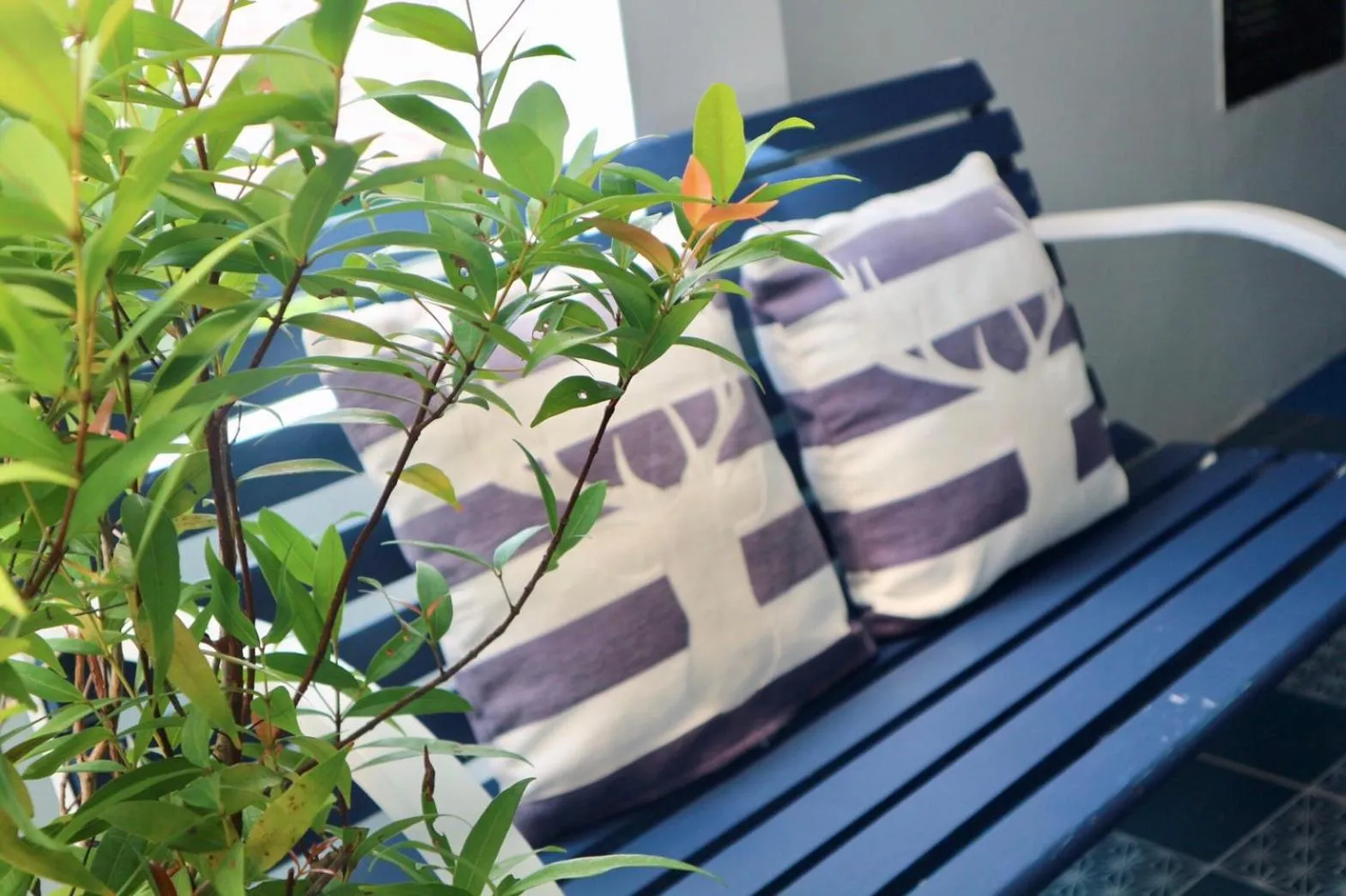 Other in Pakta Phuket - SHA PLUS