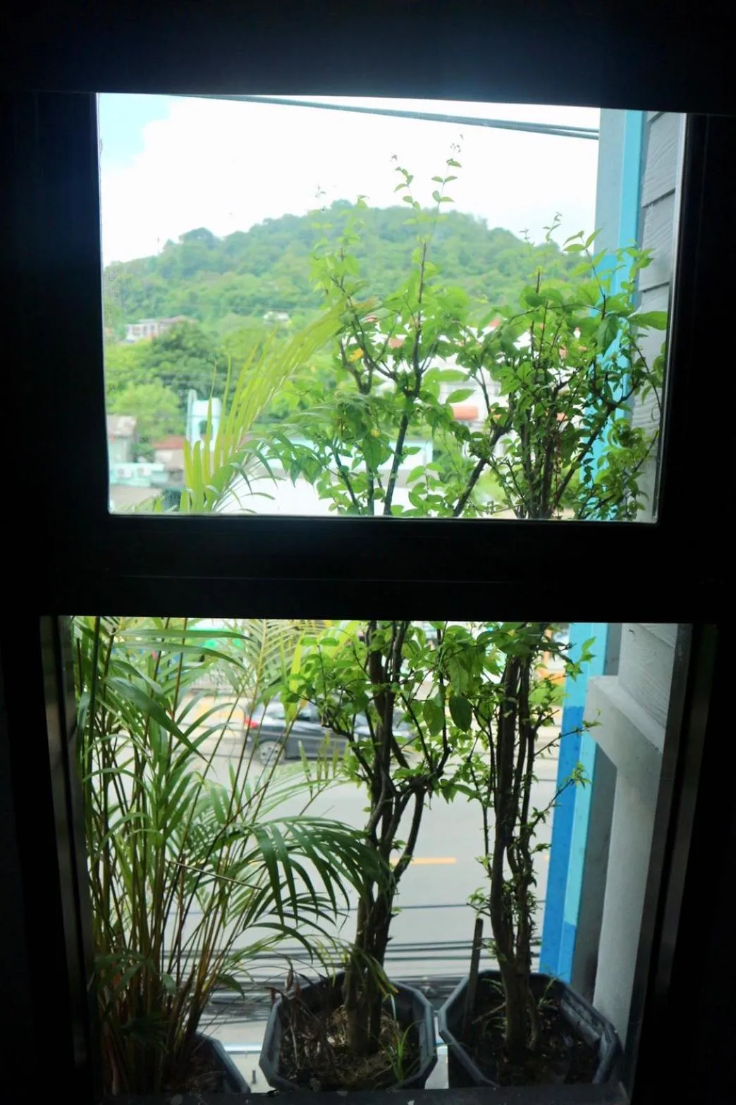 Balcony/Terrace in Pakta Phuket - SHA PLUS