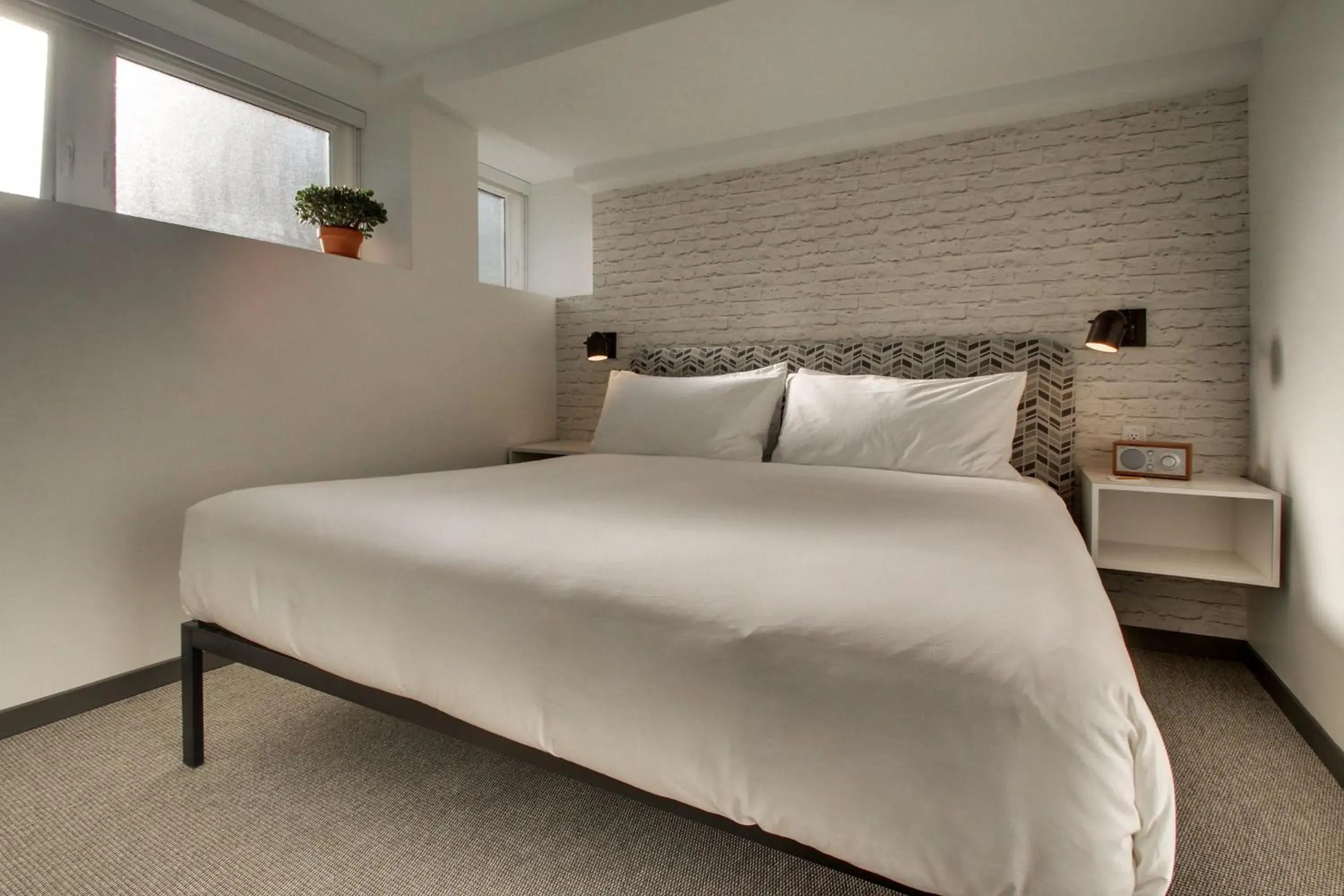 Buzz King (Above bar or basement. Can be noisy) in Hotel Hive Buzz King (Above bar or basement. Can be noisy) in Hotel Hive