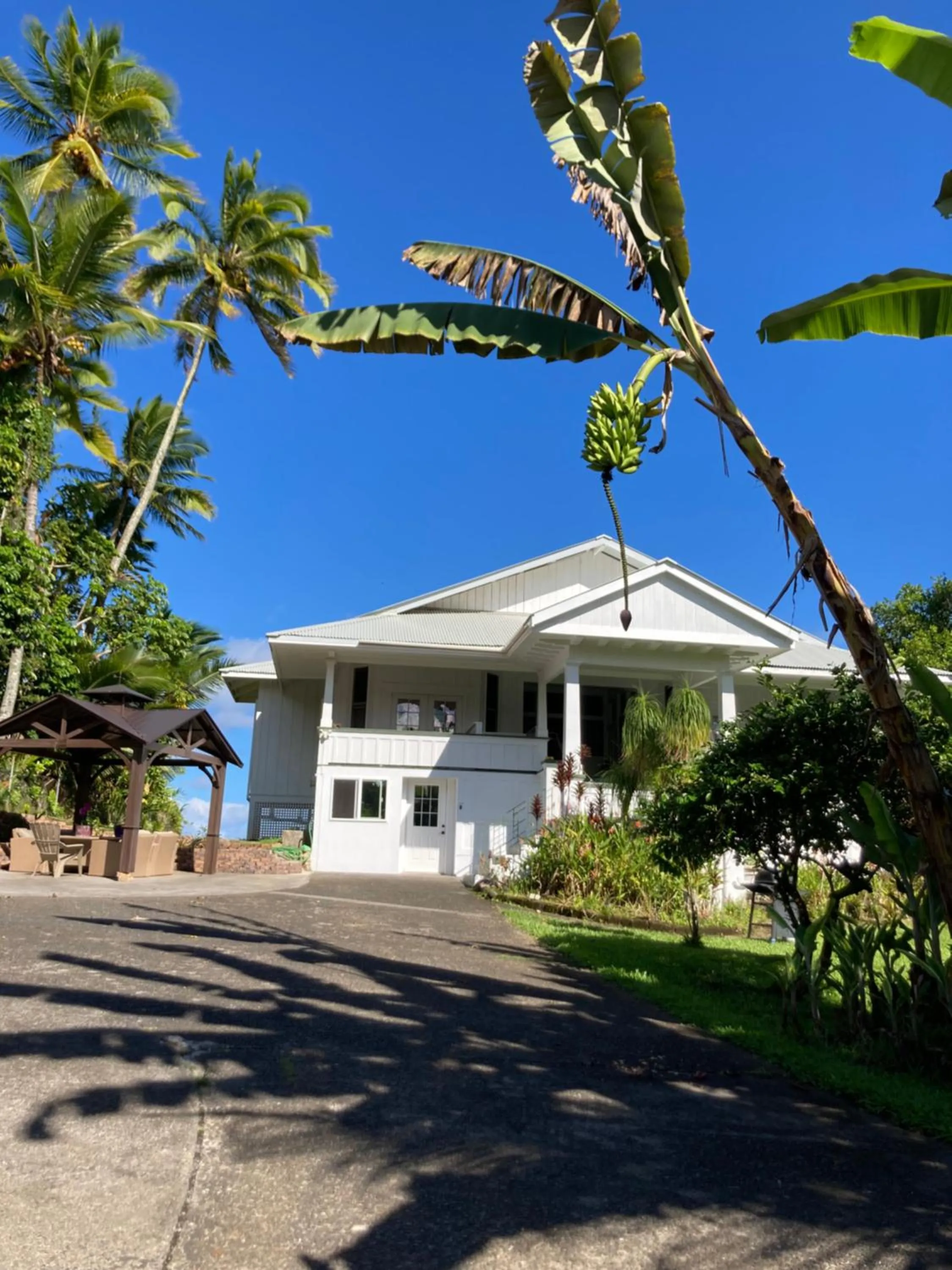 Property building in Hilo Bay Oceanfront Bed and Breakfast