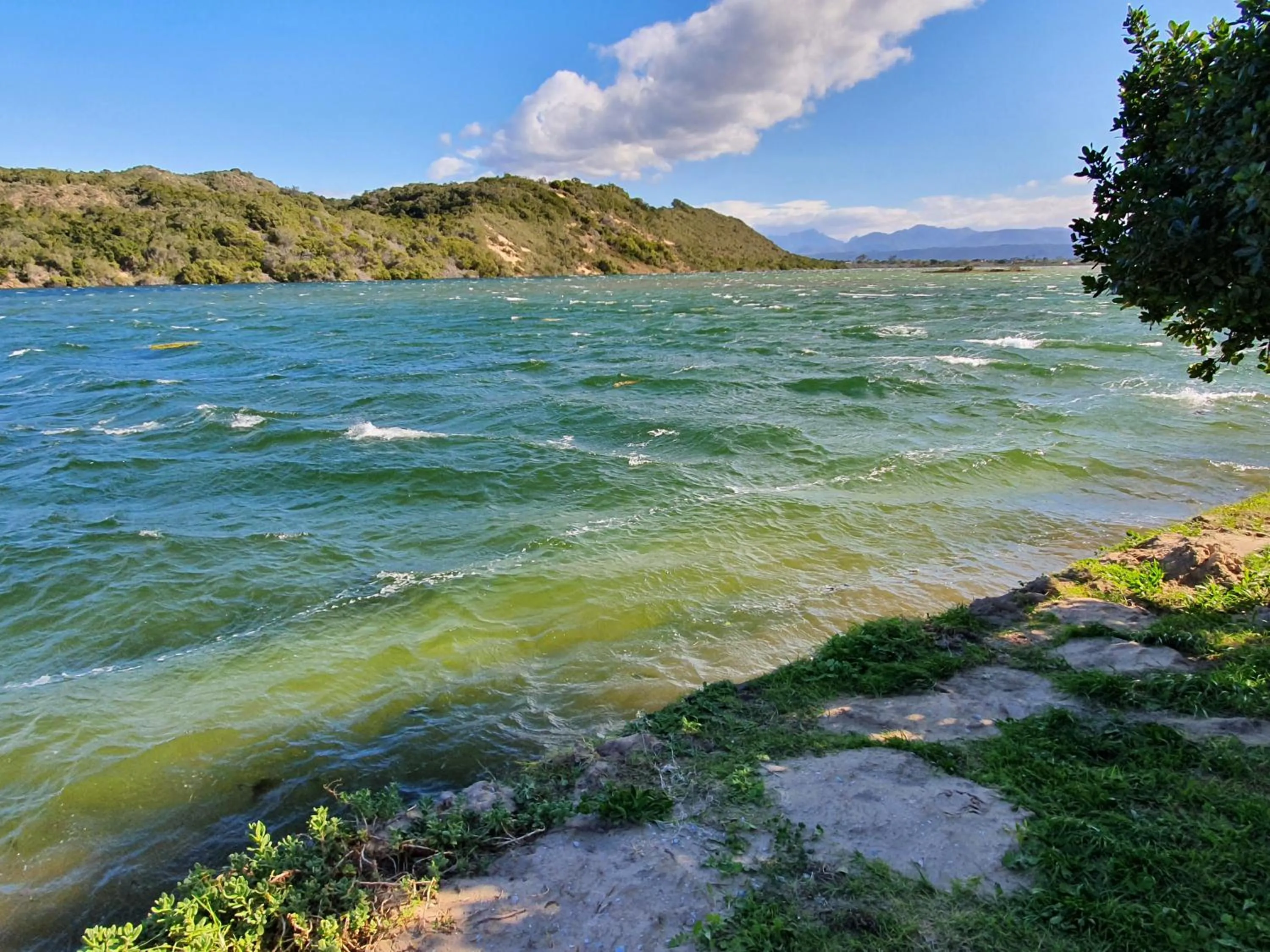 Natural landscape in The Gull