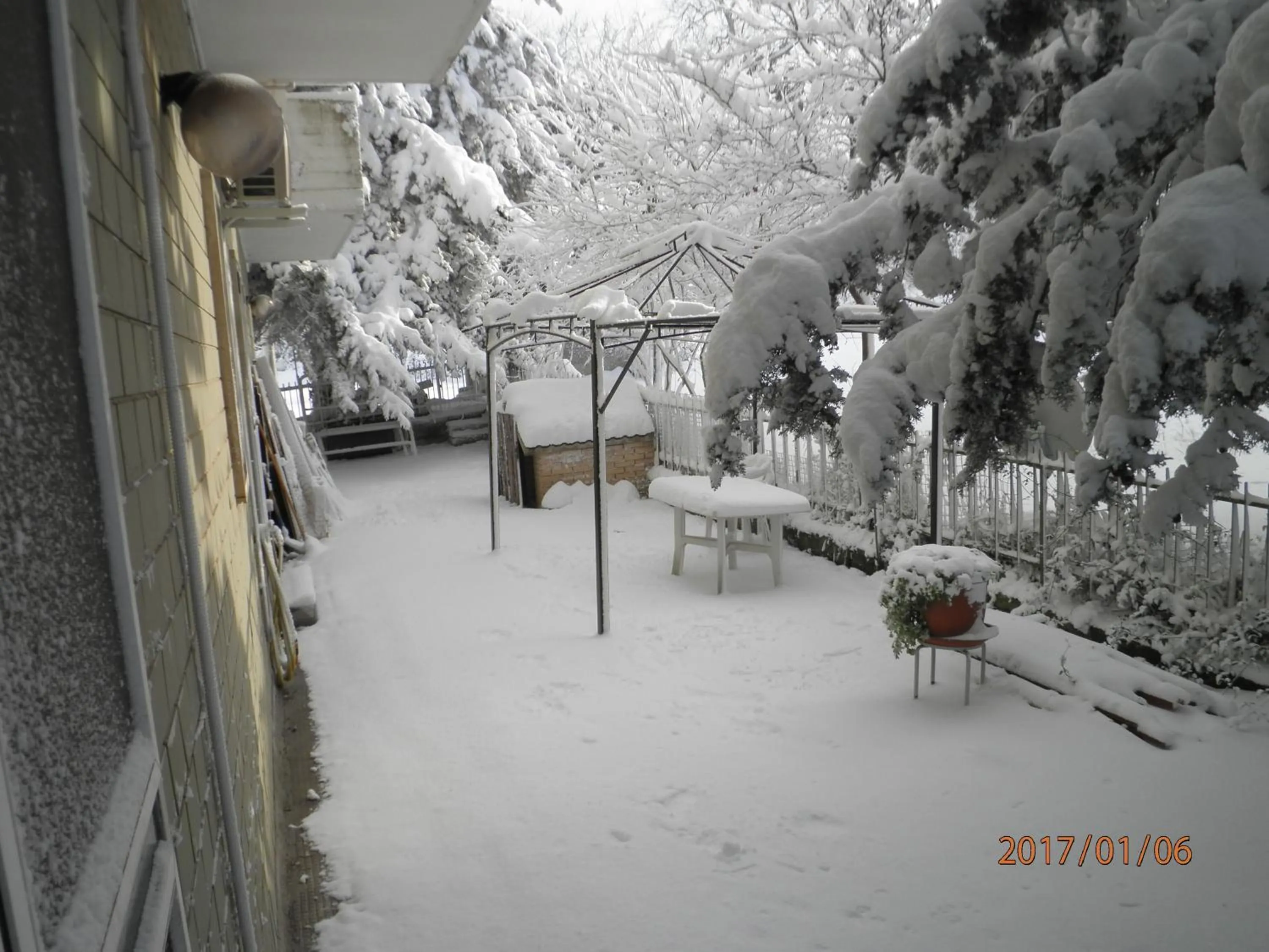 Garden in Don Milani