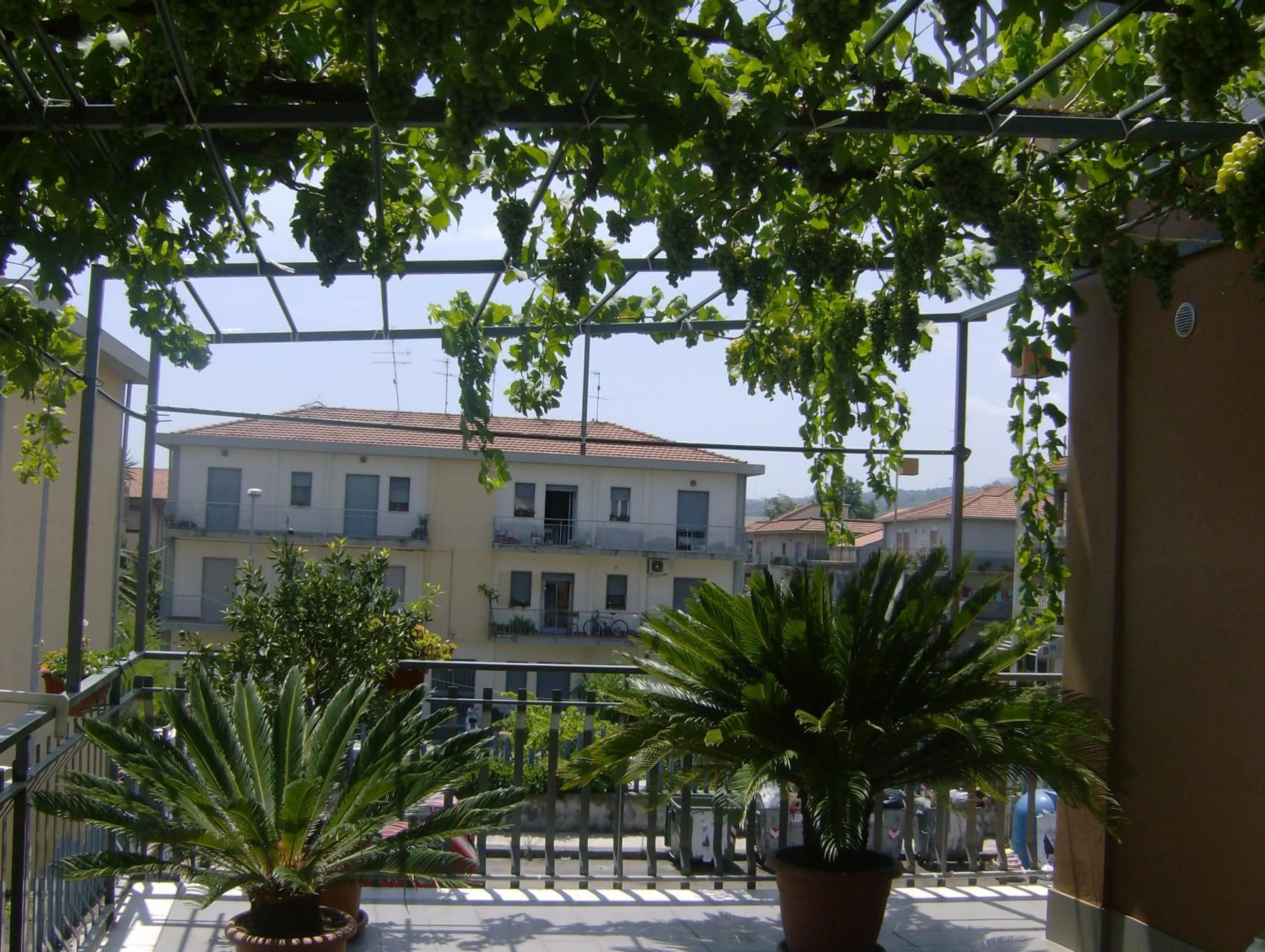 Balcony/Terrace in B&B Padre Pio