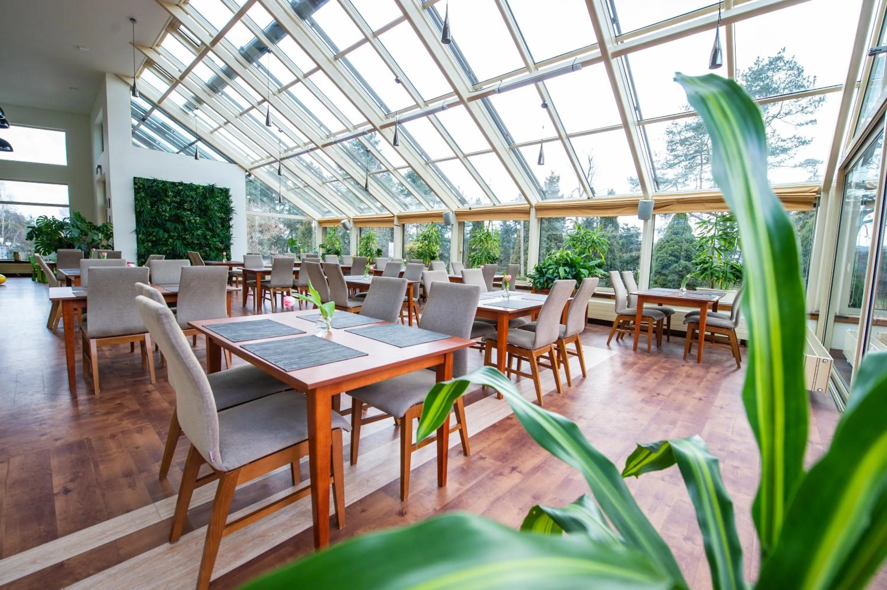 Restaurant/places to eat in Hotel Ostaniec