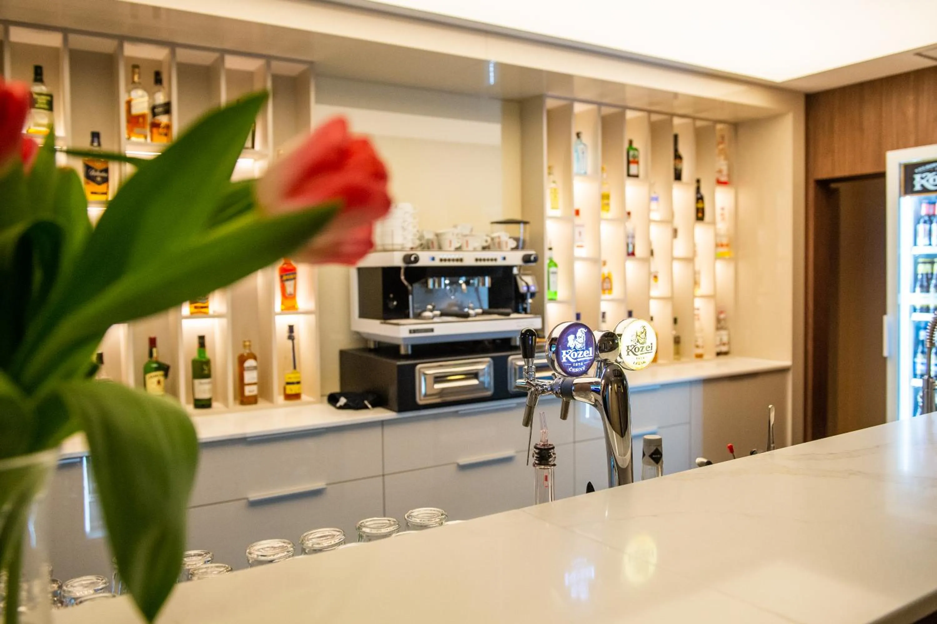 Restaurant/places to eat in Hotel Ostaniec