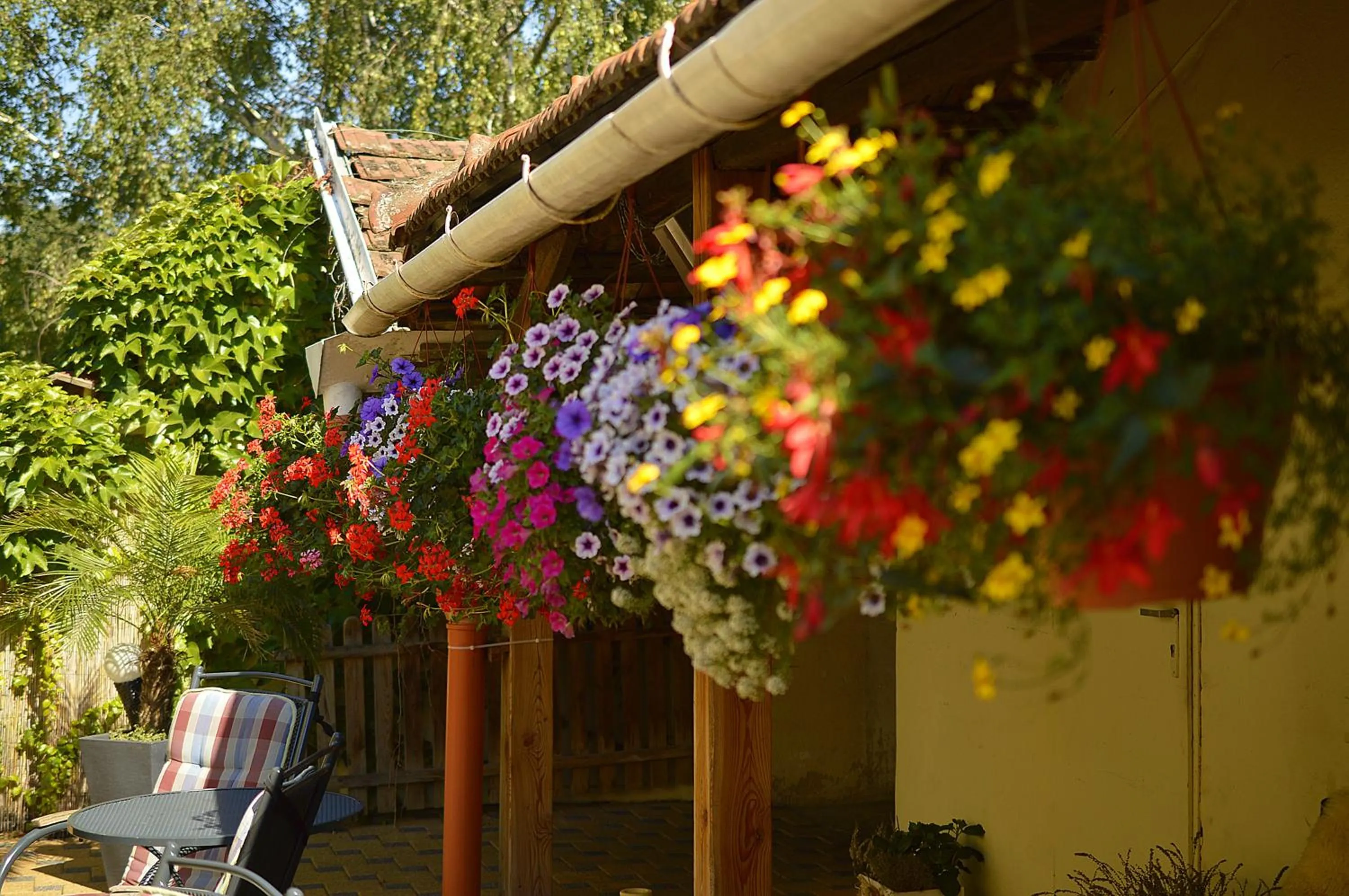 Restaurant/places to eat in Hotel Florian