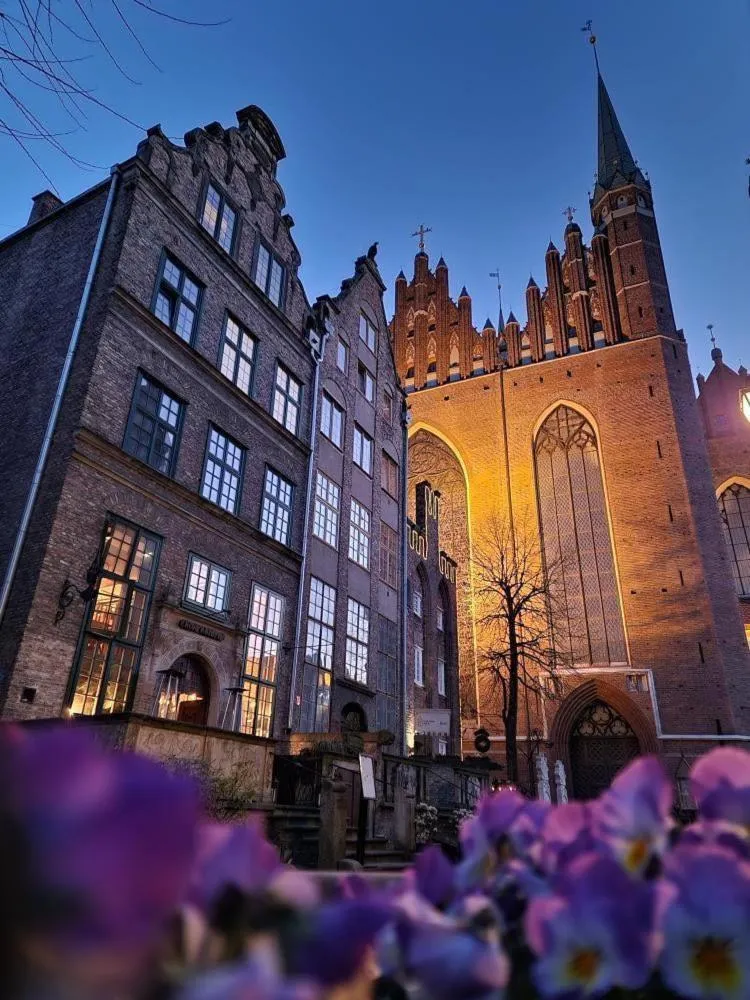 Property building in Gotyk House