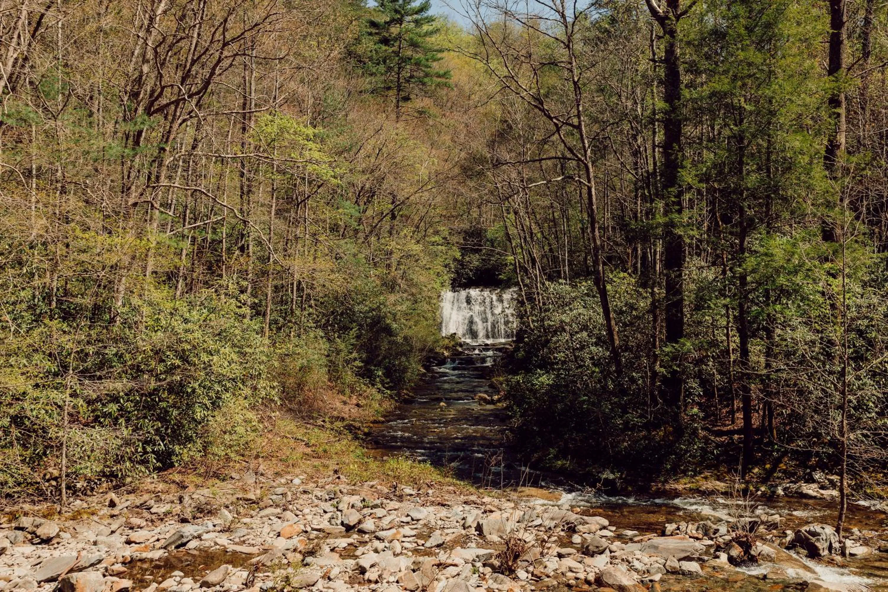 Other in Tremont Lodge & Resort