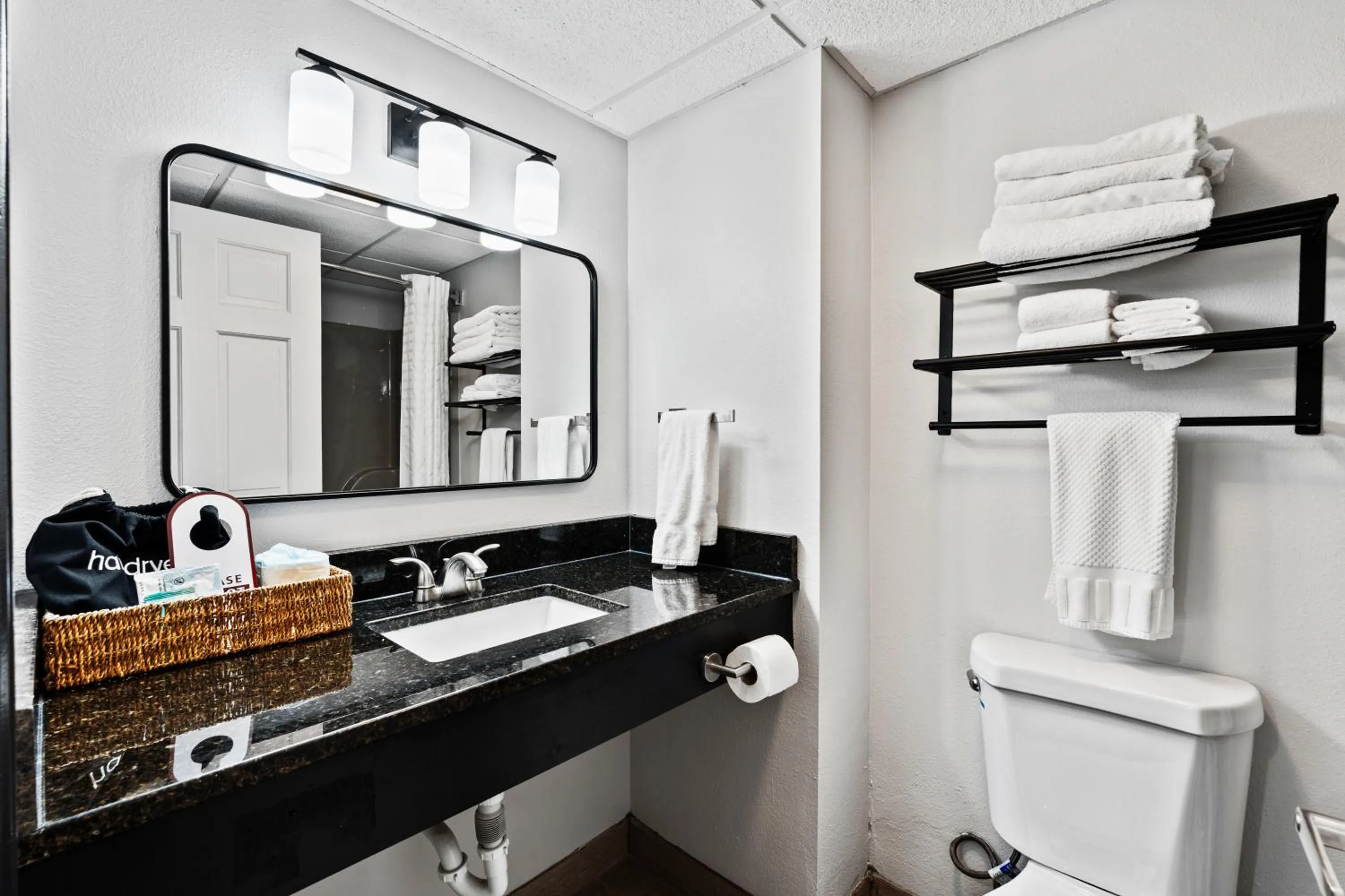 Toilet in Tremont Lodge & Resort