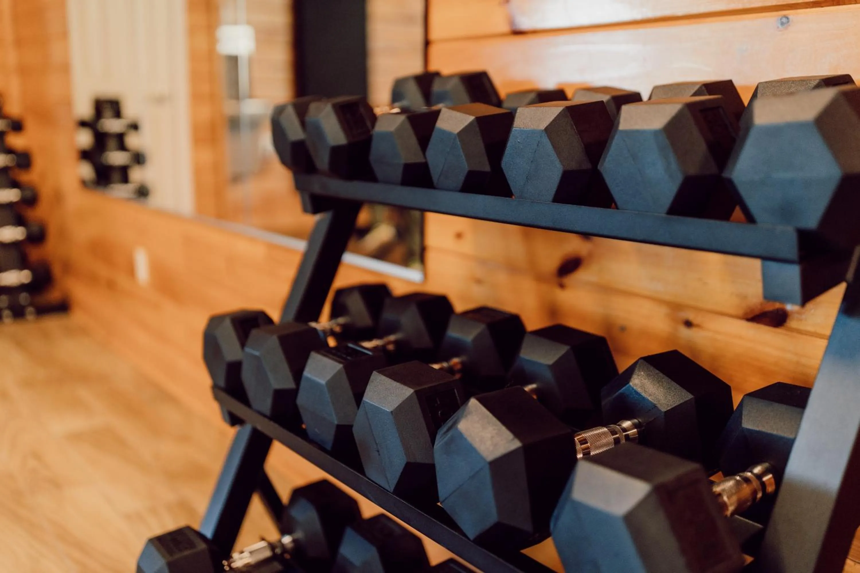 Fitness centre/facilities in Tremont Lodge & Resort