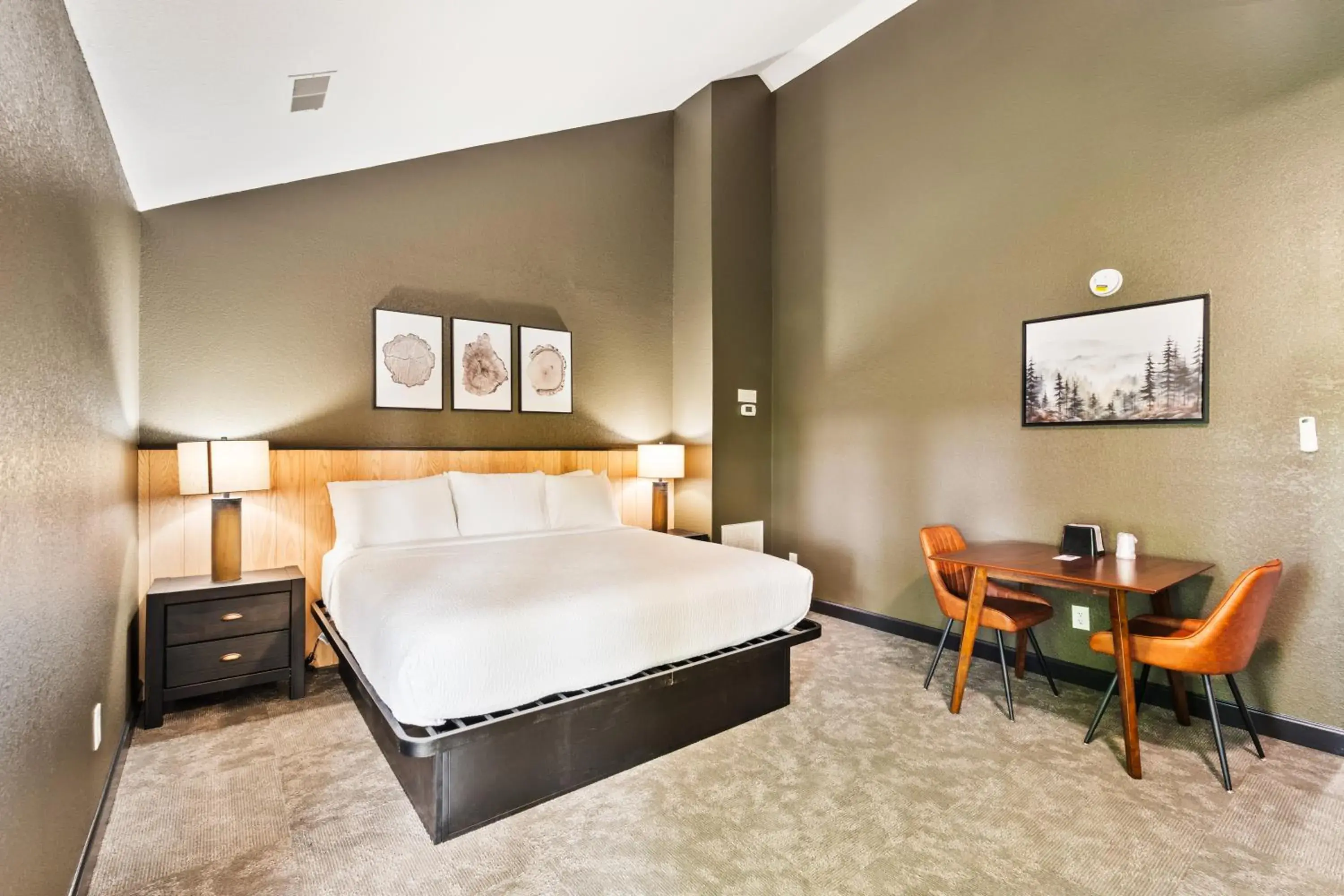 Executive Suite in Tremont Lodge & Resort Executive Suite in Tremont Lodge & Resort