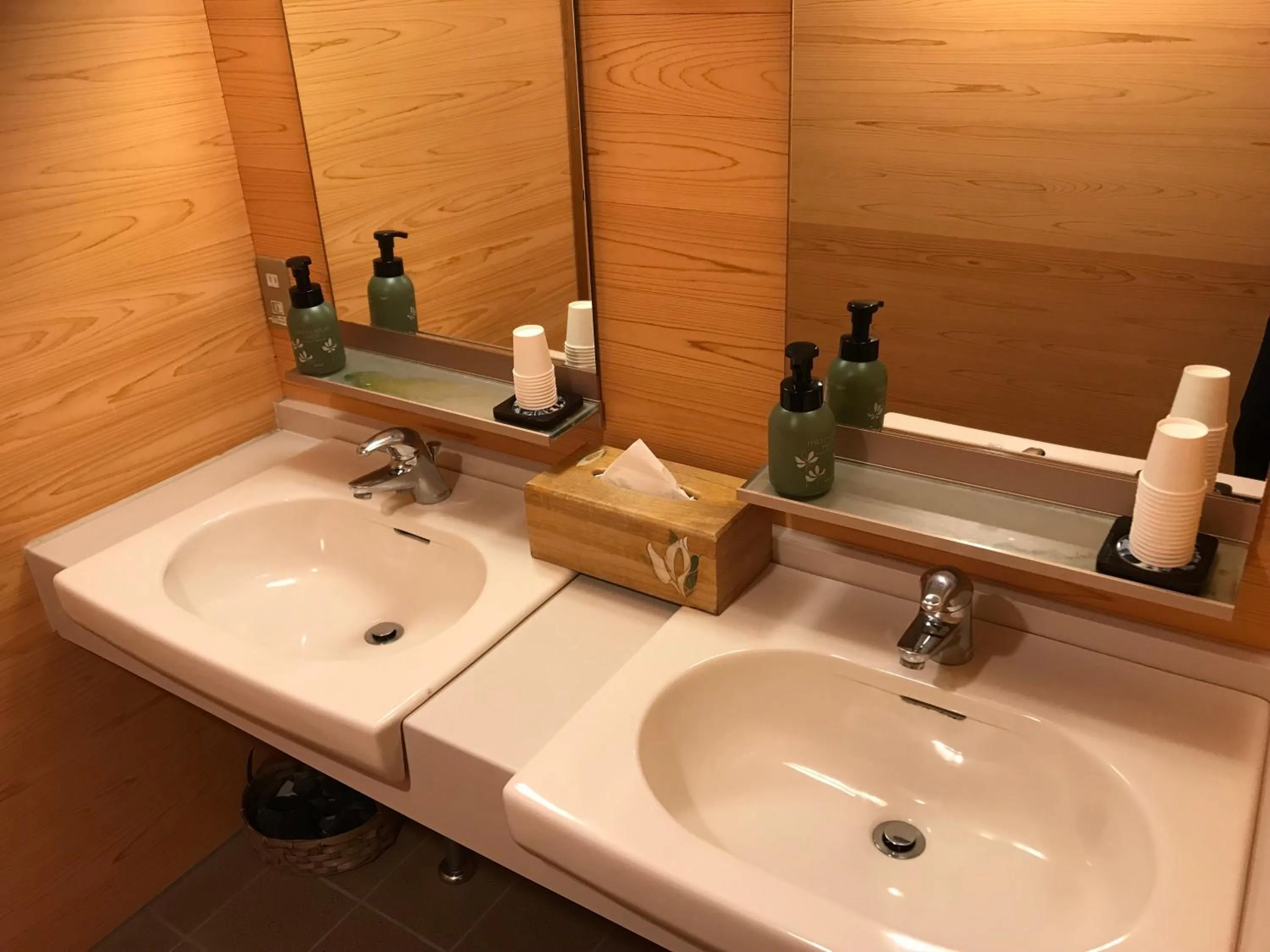 Bathroom in Ryounkaku Matsunoyama onsen