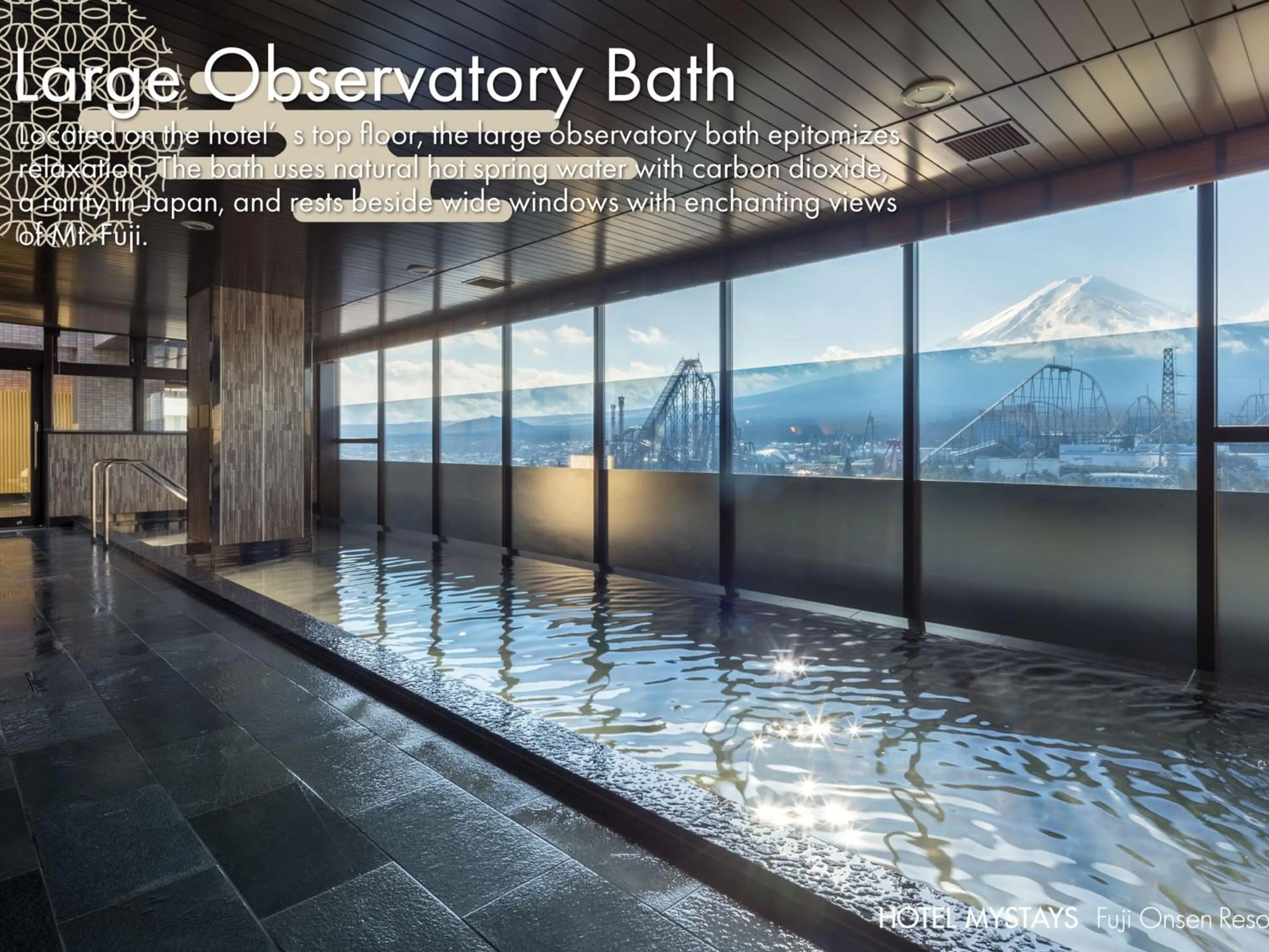 Hot Spring Bath in HOTEL MYSTAYS Fuji Onsen Resort