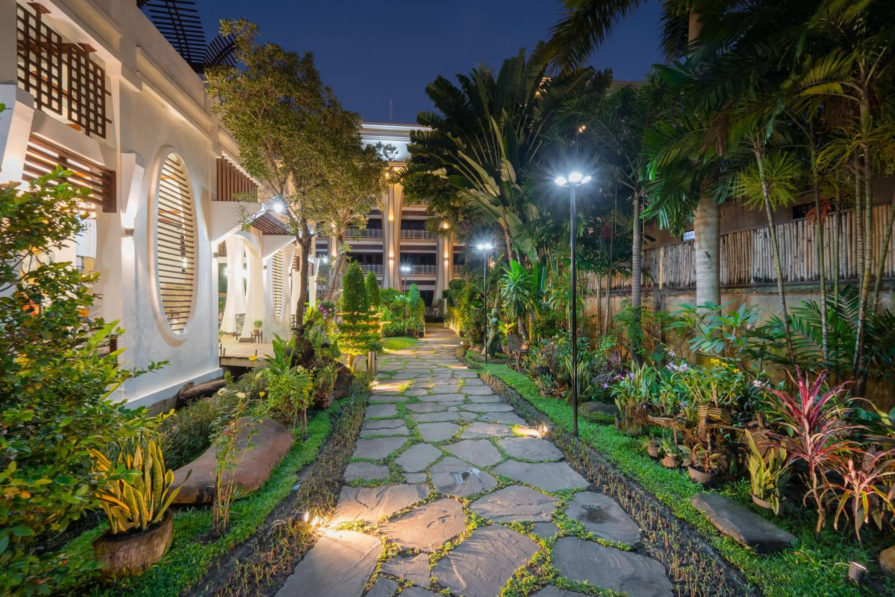 Garden in The Night Hotel