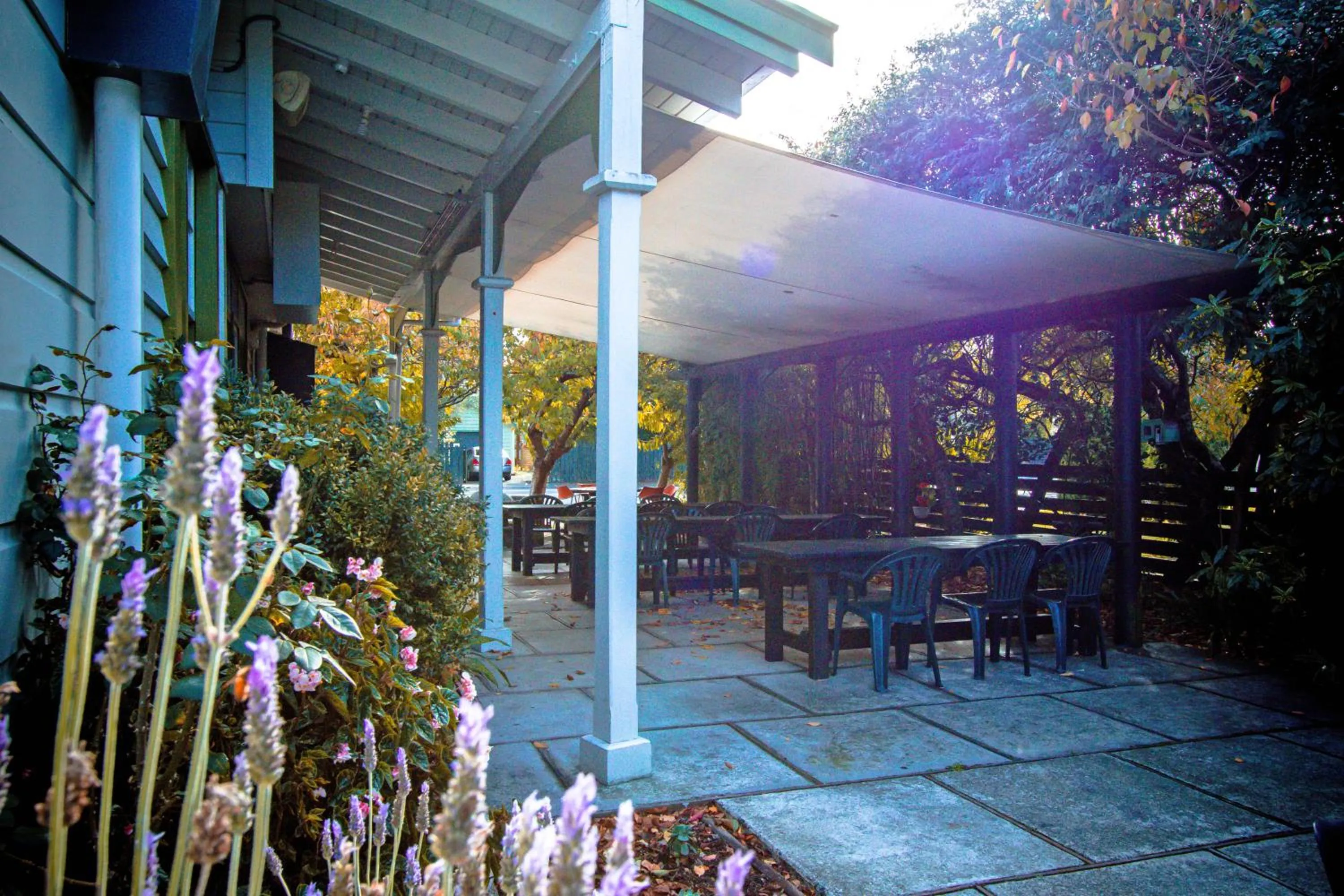 Balcony/Terrace in The Greytown Hotel