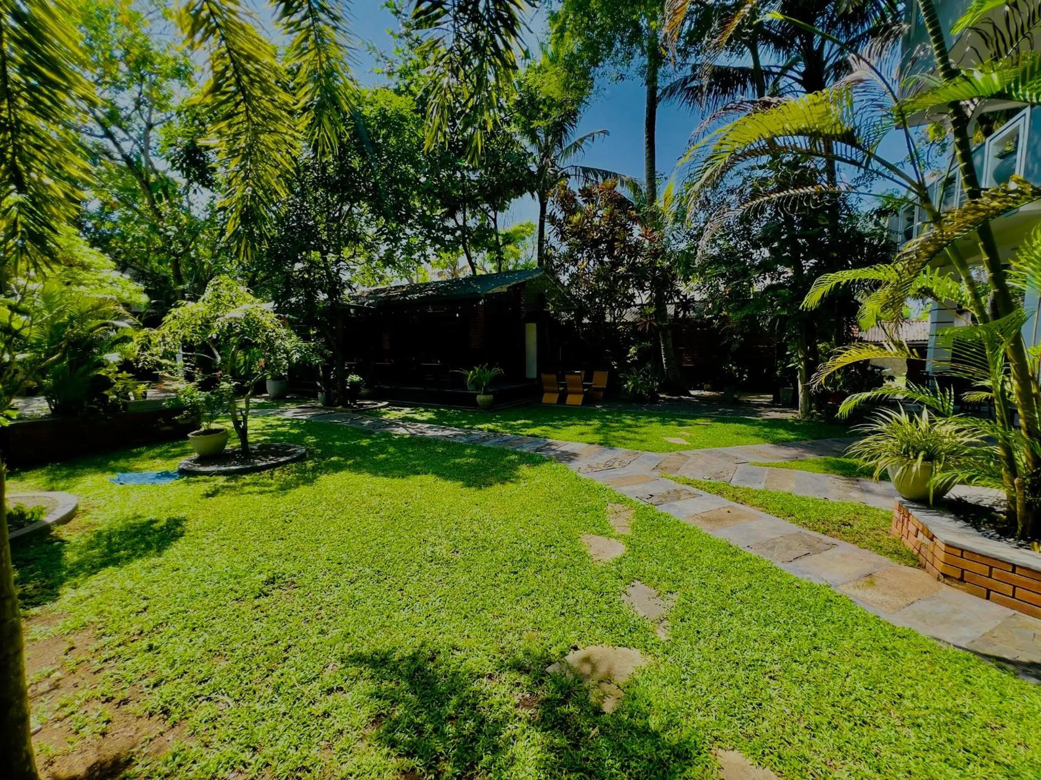 Natural landscape in Crystal Palace