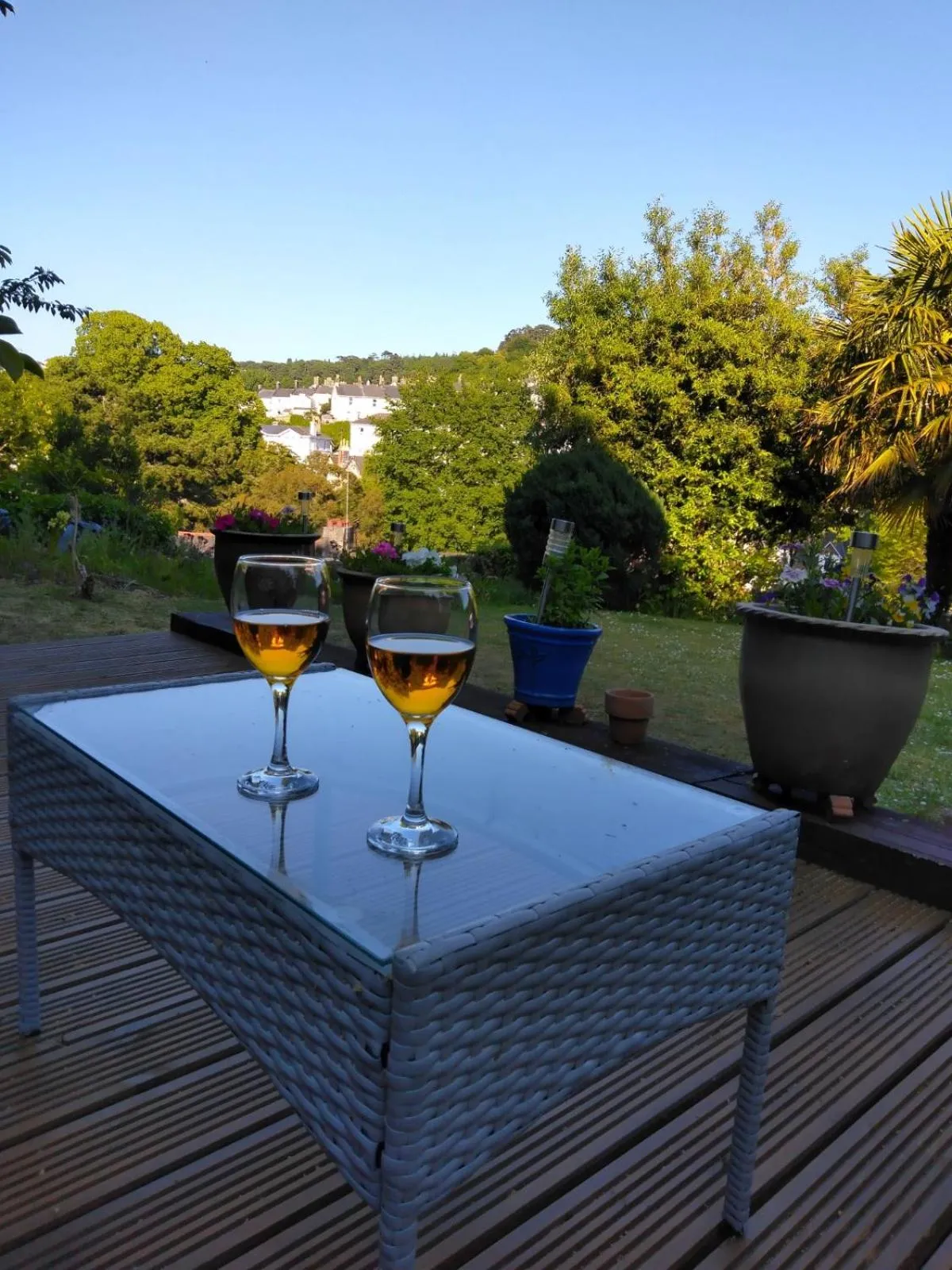 Patio, Drinks in Barclay Court Guest House