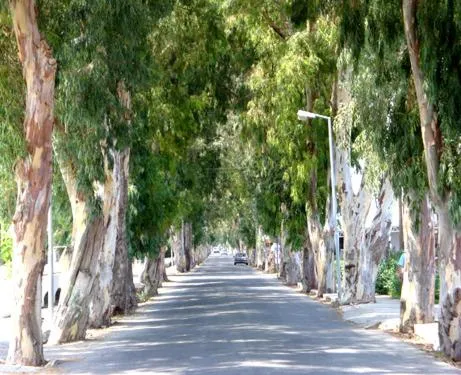 Day in Marathon Hotel - All Inclusive