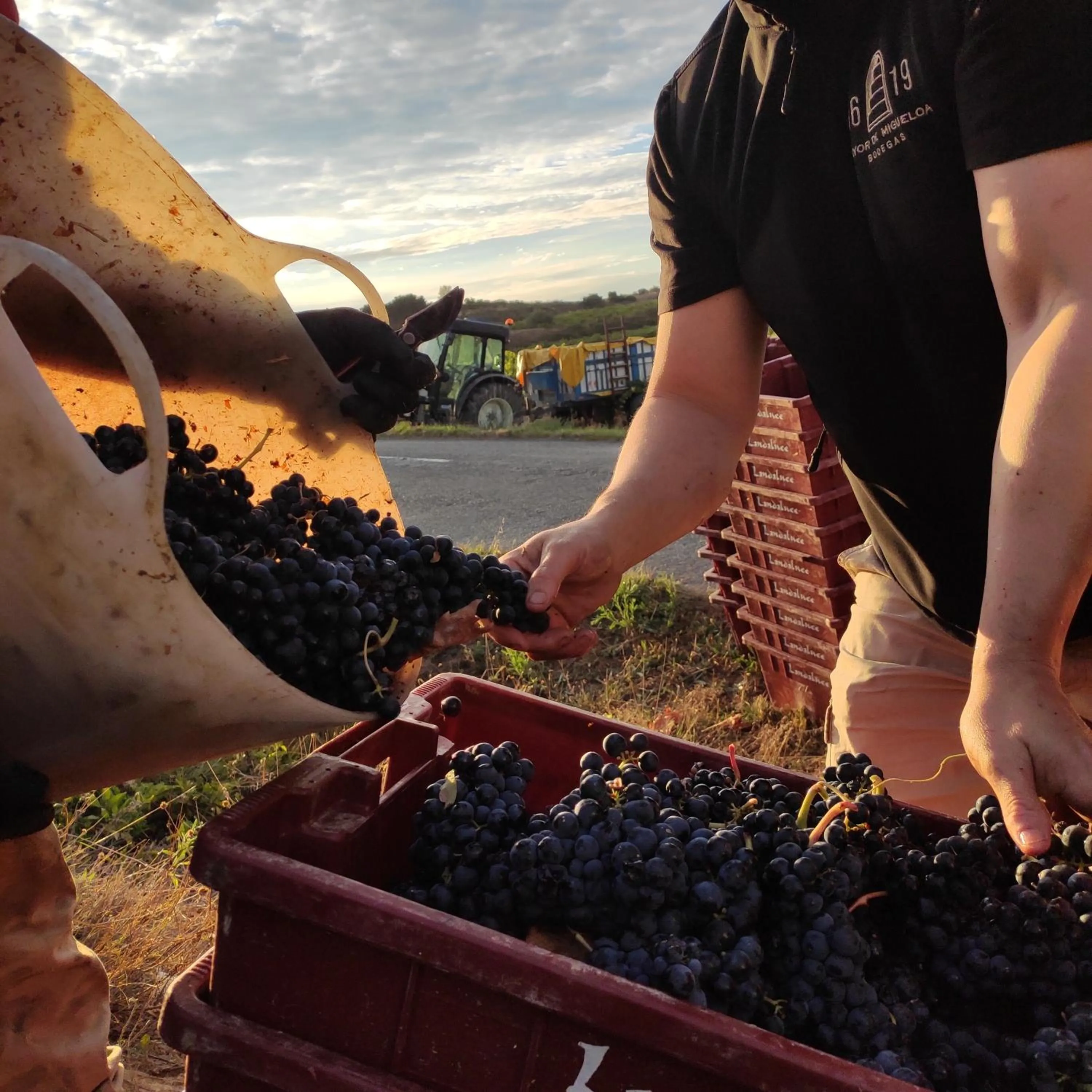 Posada Mayor de Migueloa