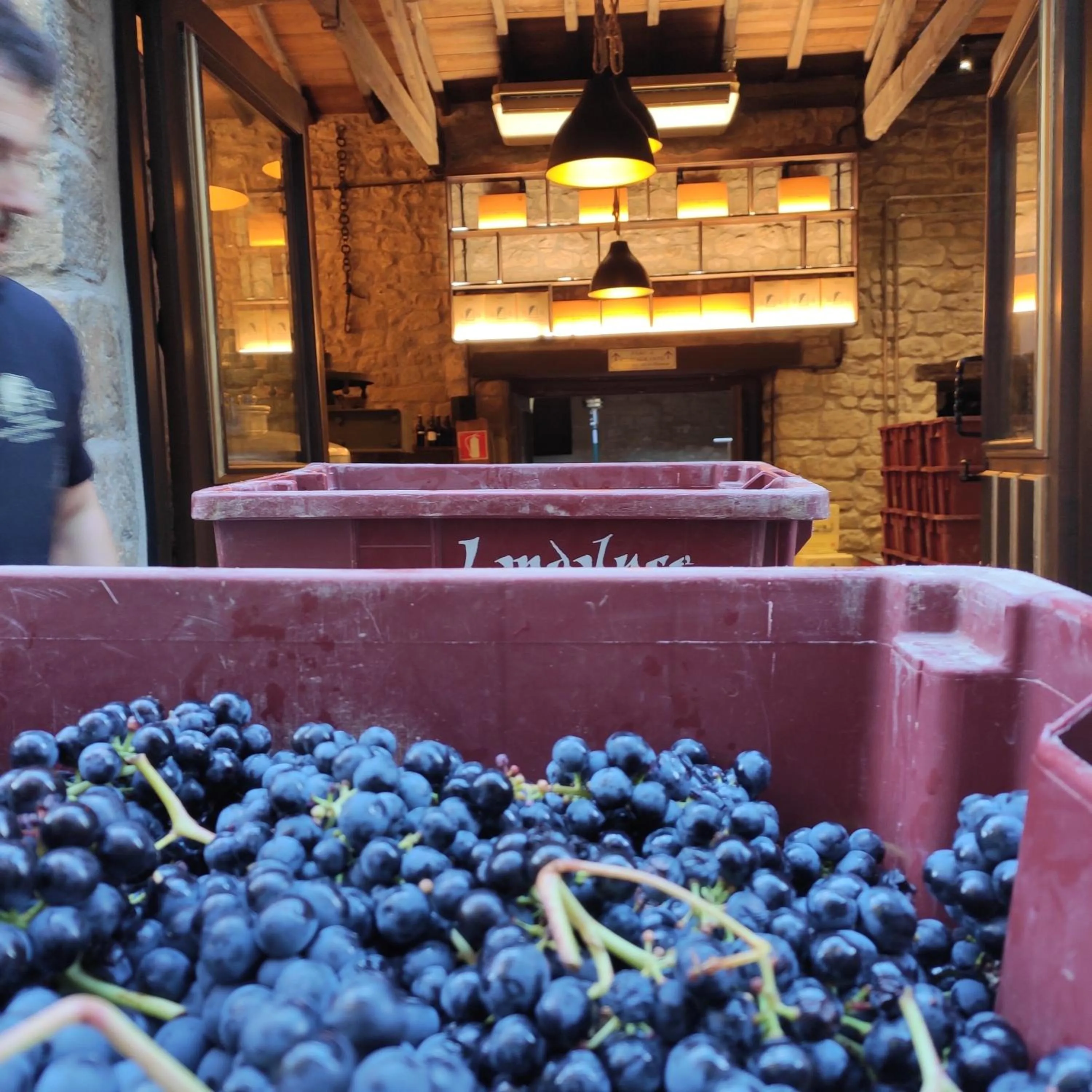 Posada Mayor de Migueloa