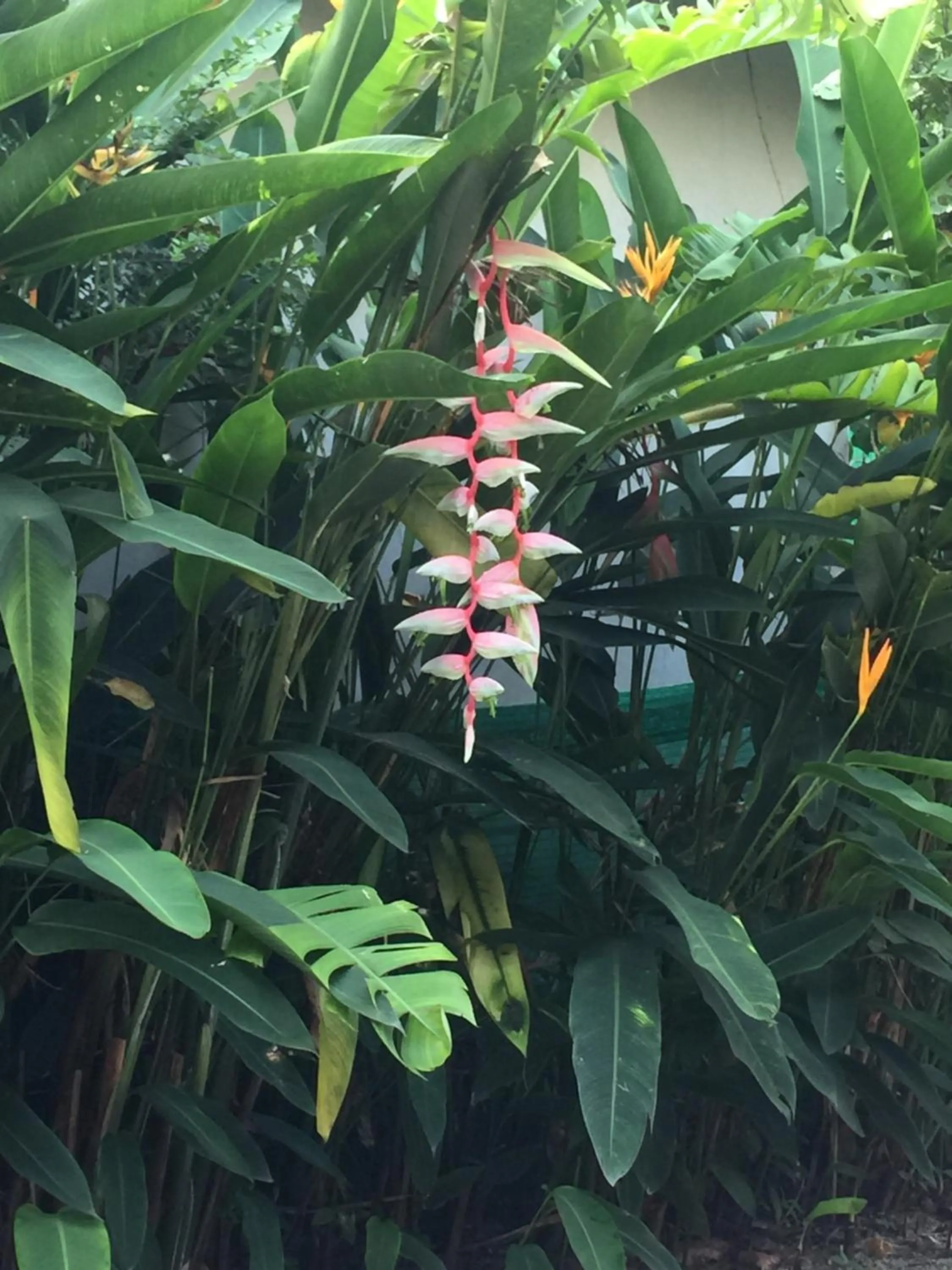 Pakmeng Beach Resort