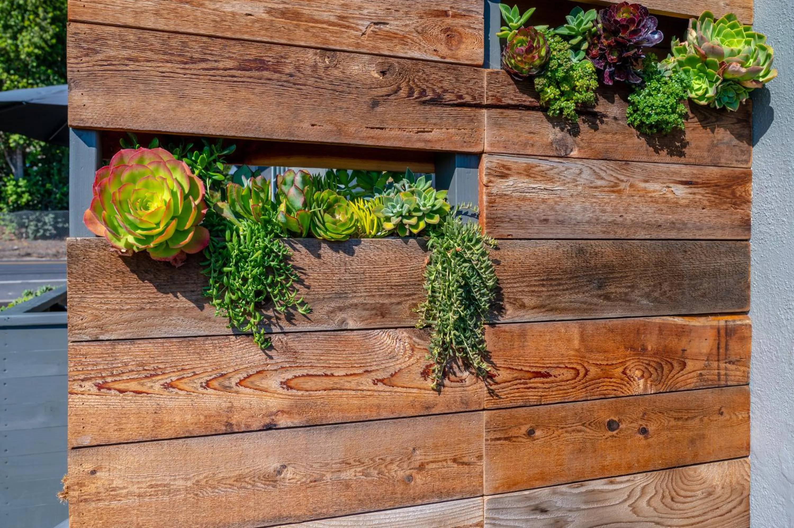 Facade/entrance in Shell Beach Inn