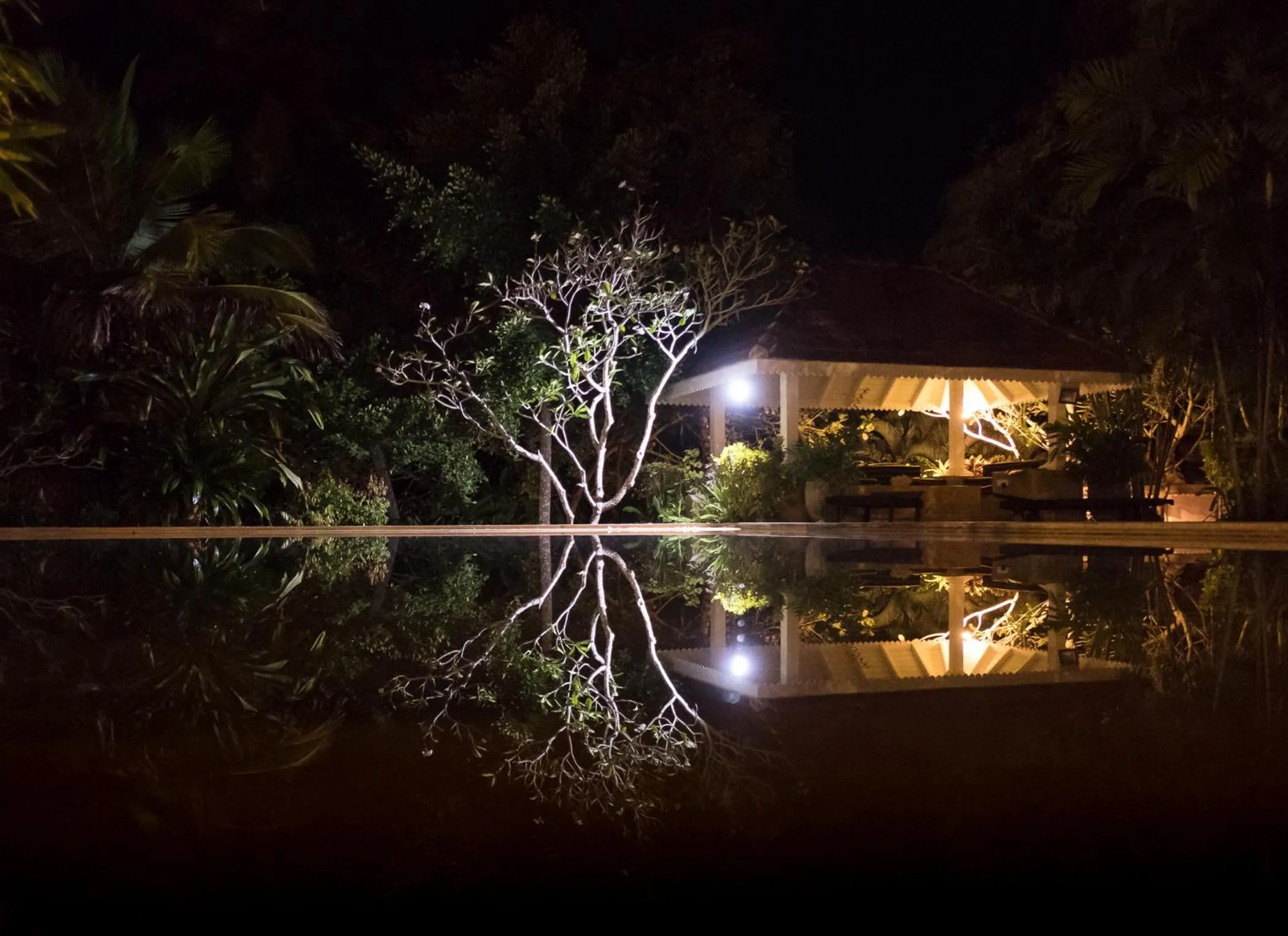 Swimming pool in Why House