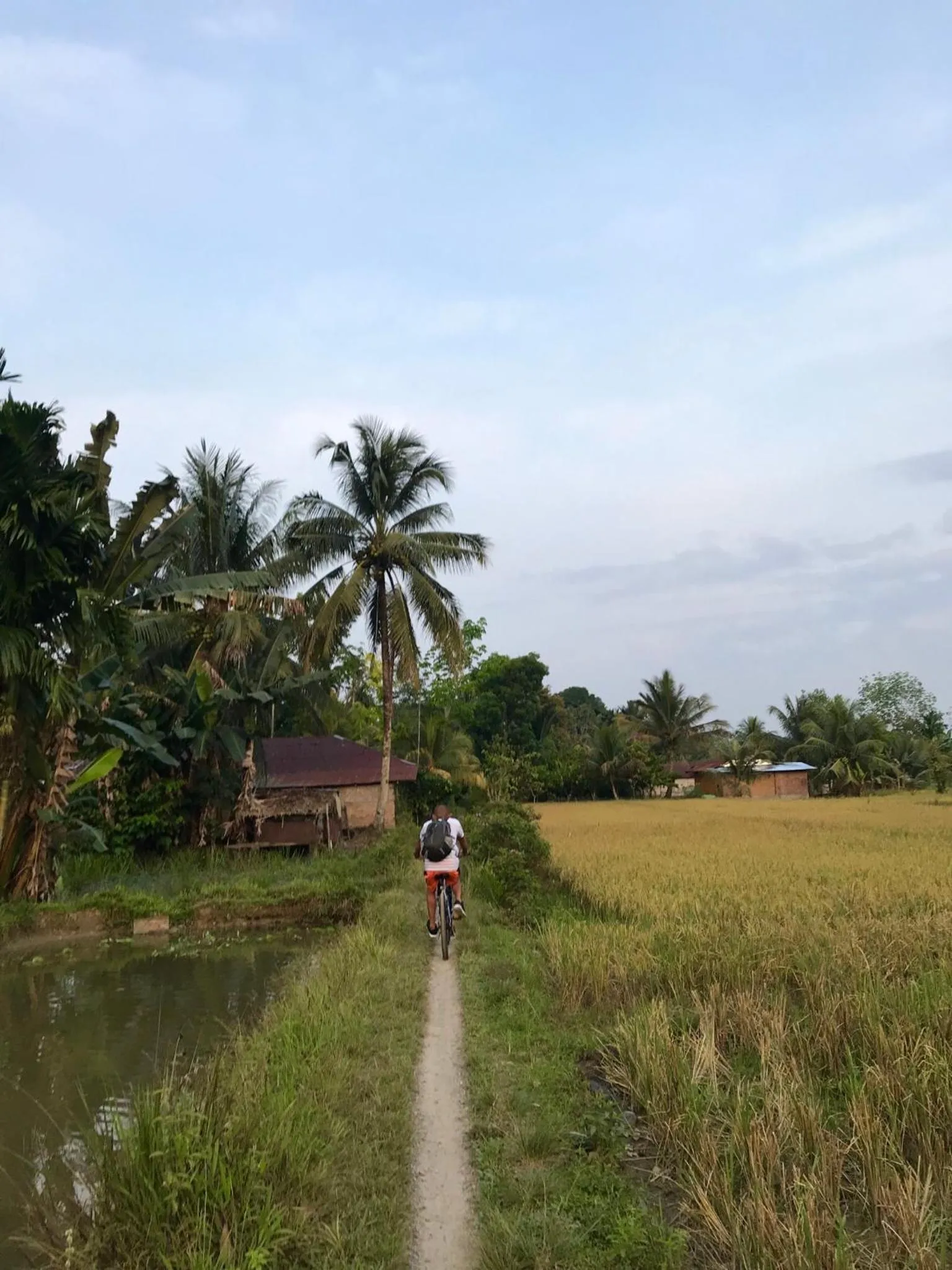 Villa Paradise - Bukit Lawang