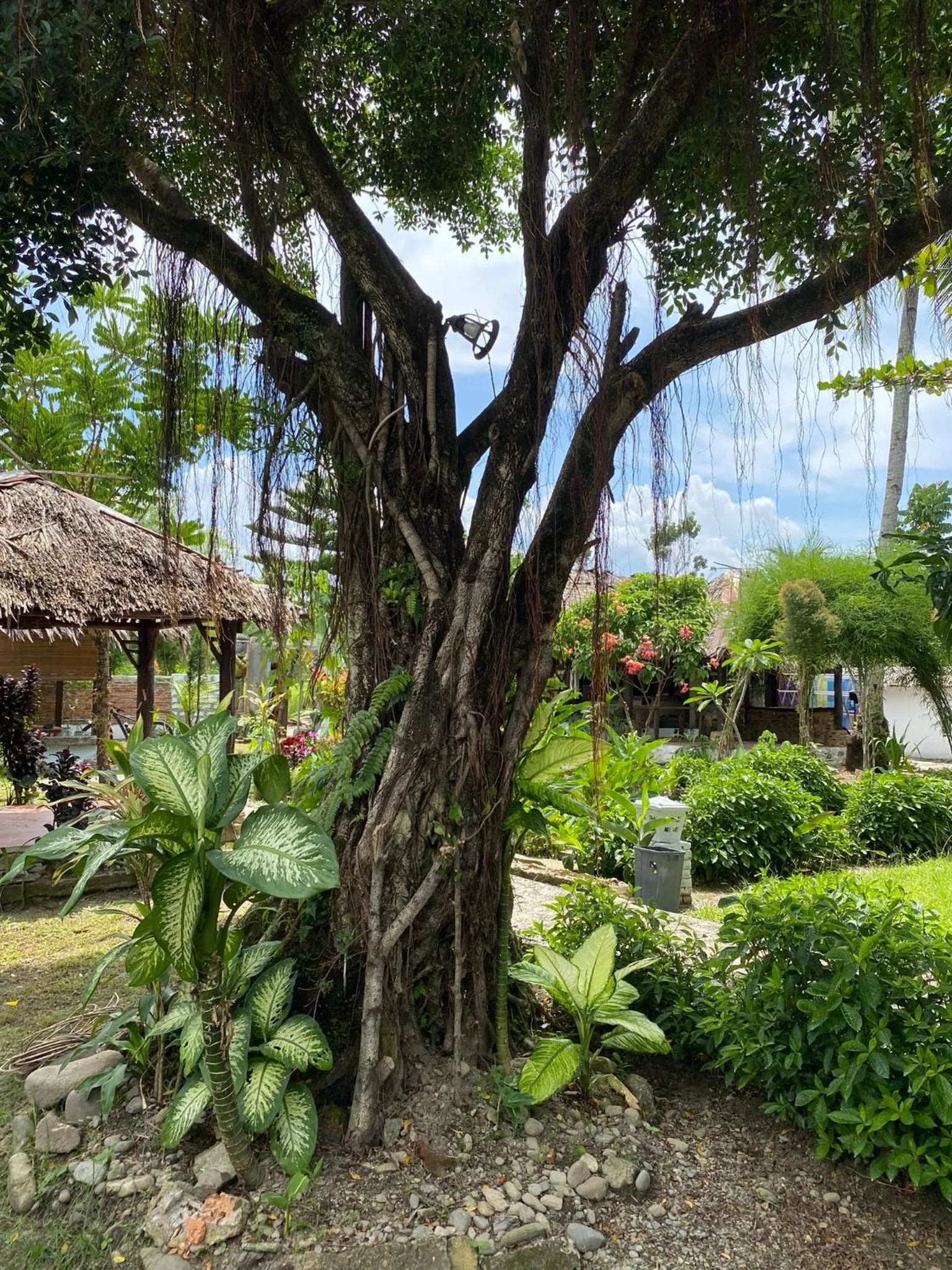 Villa Paradise - Bukit Lawang