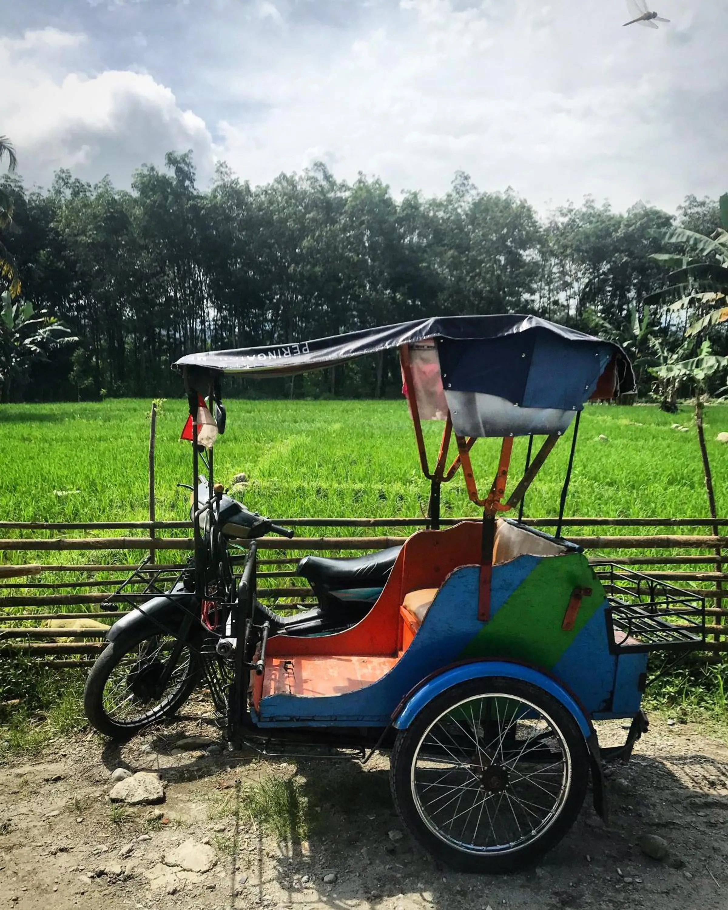 Villa Paradise - Bukit Lawang