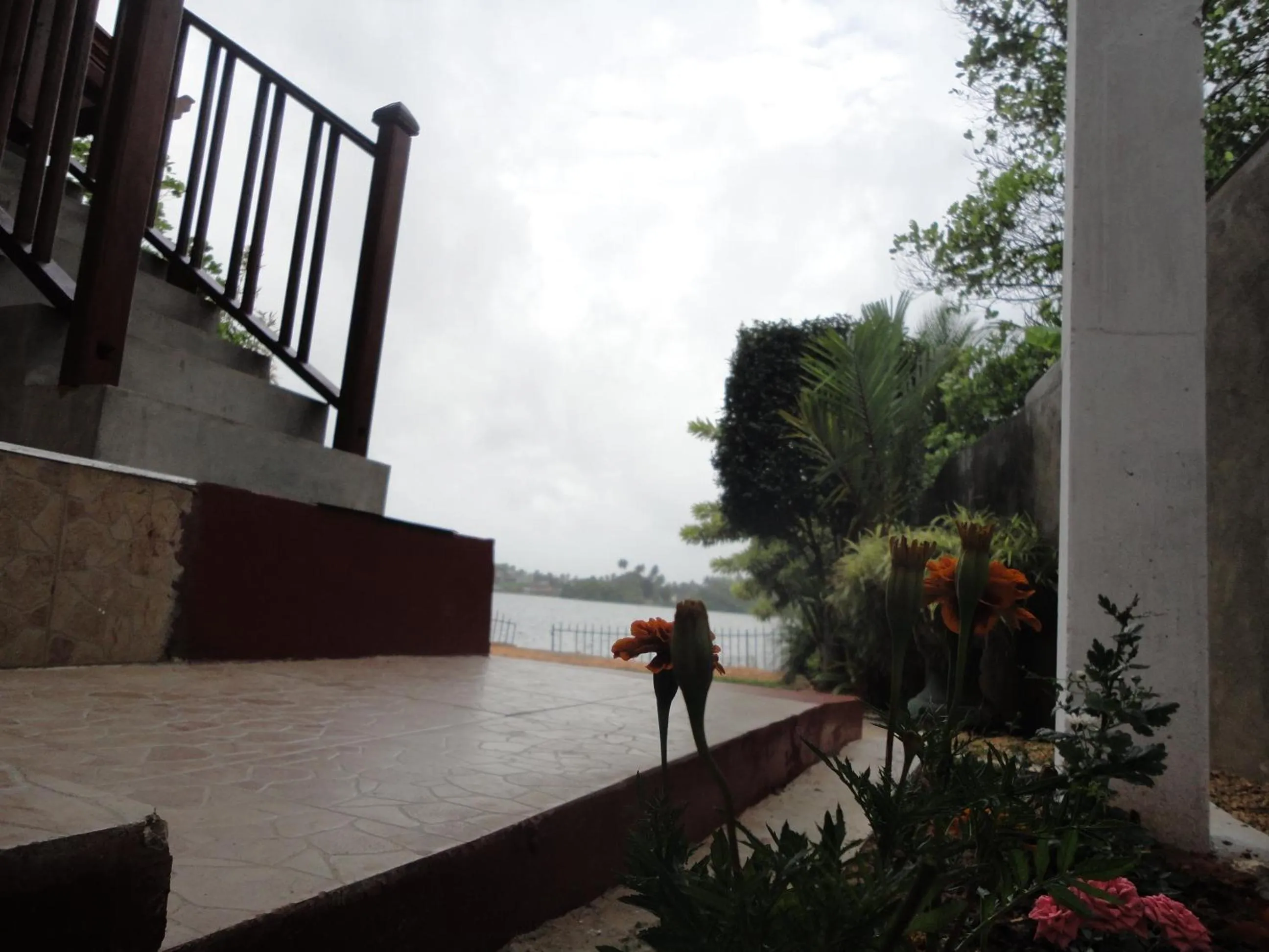 Floor plan, Pets in Sapara River Guest