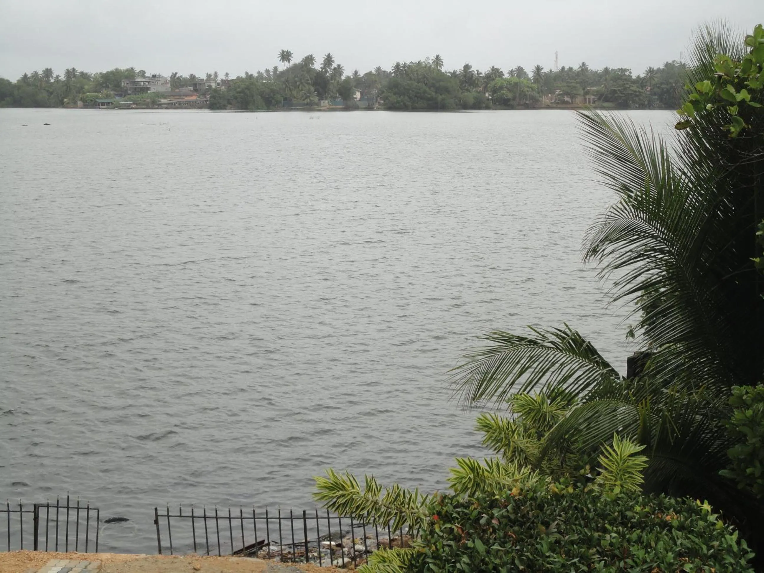 River view, Natural Landscape in Sapara River Guest